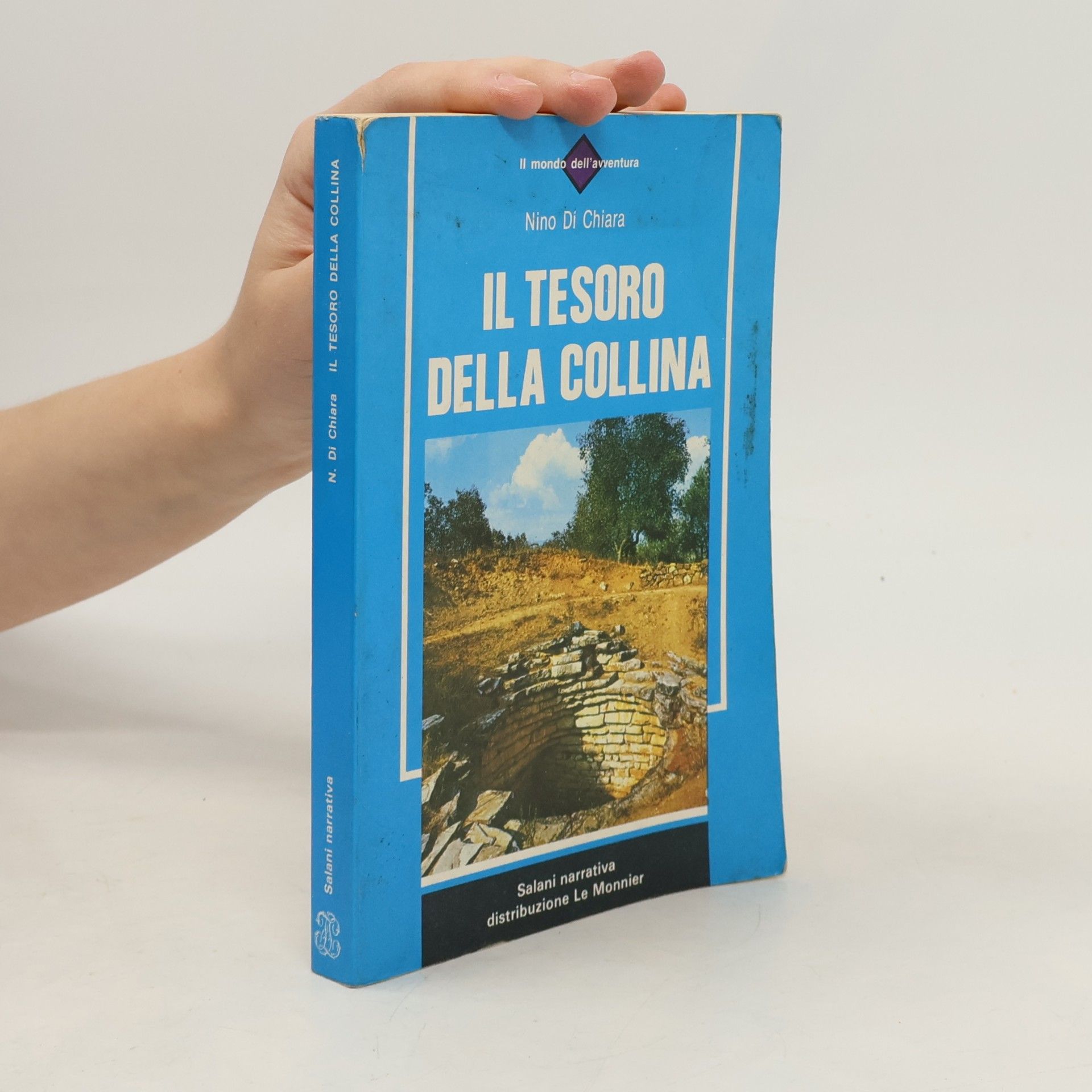 Nino Di Chiara Il tesoro della collina