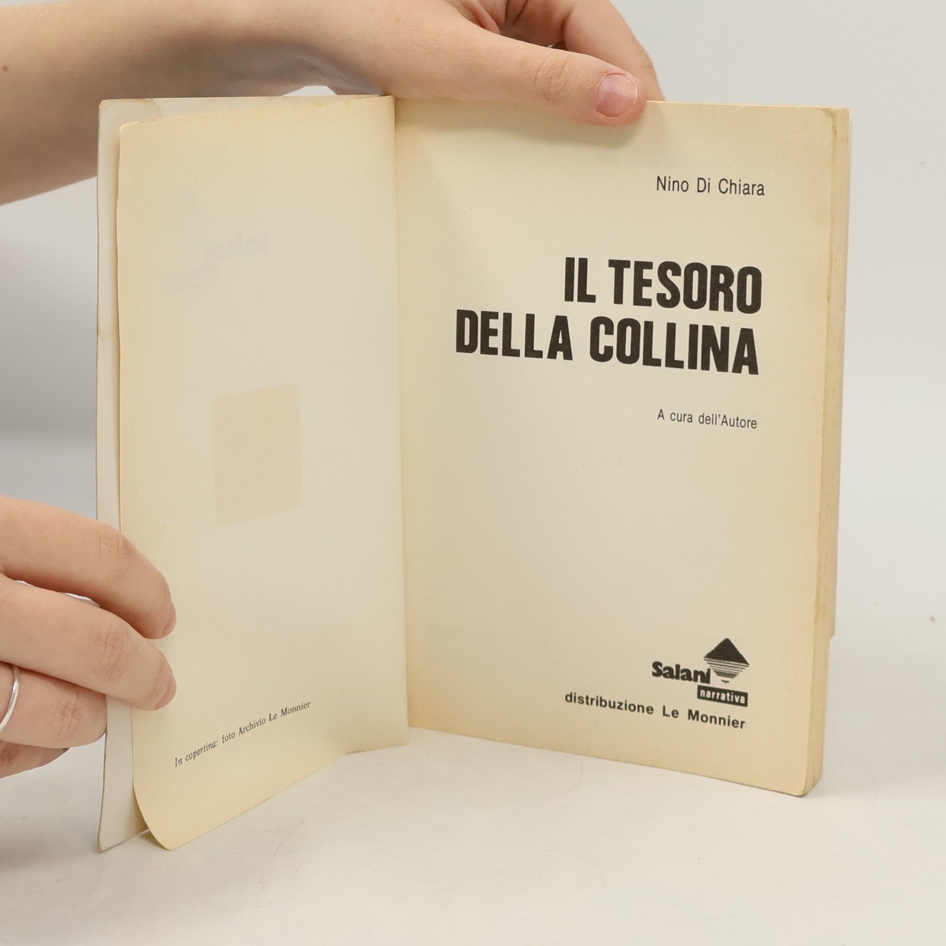Nino Di Chiara Il tesoro della collina