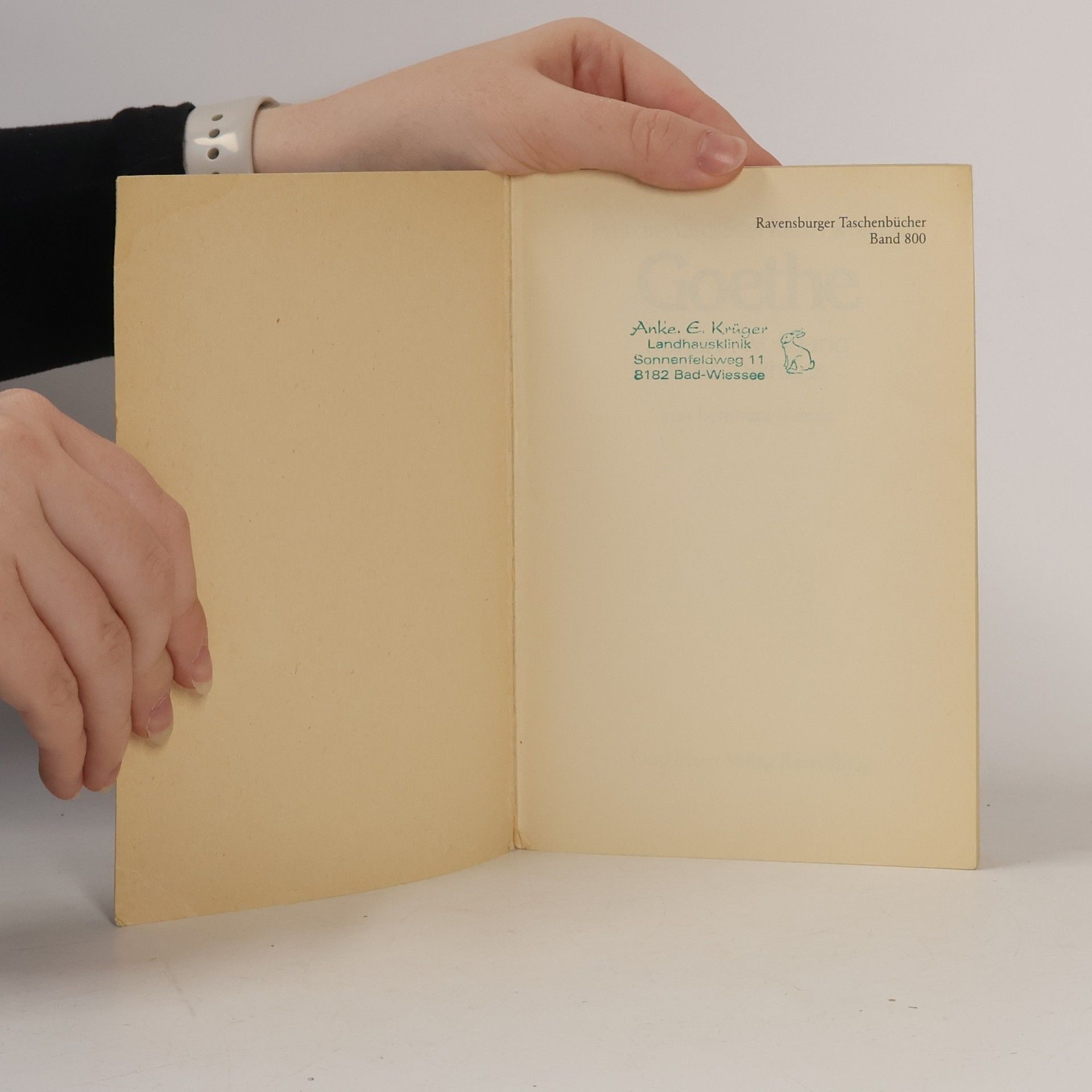 Marianne Bernhard Als die Grossen klein waren: Goethe