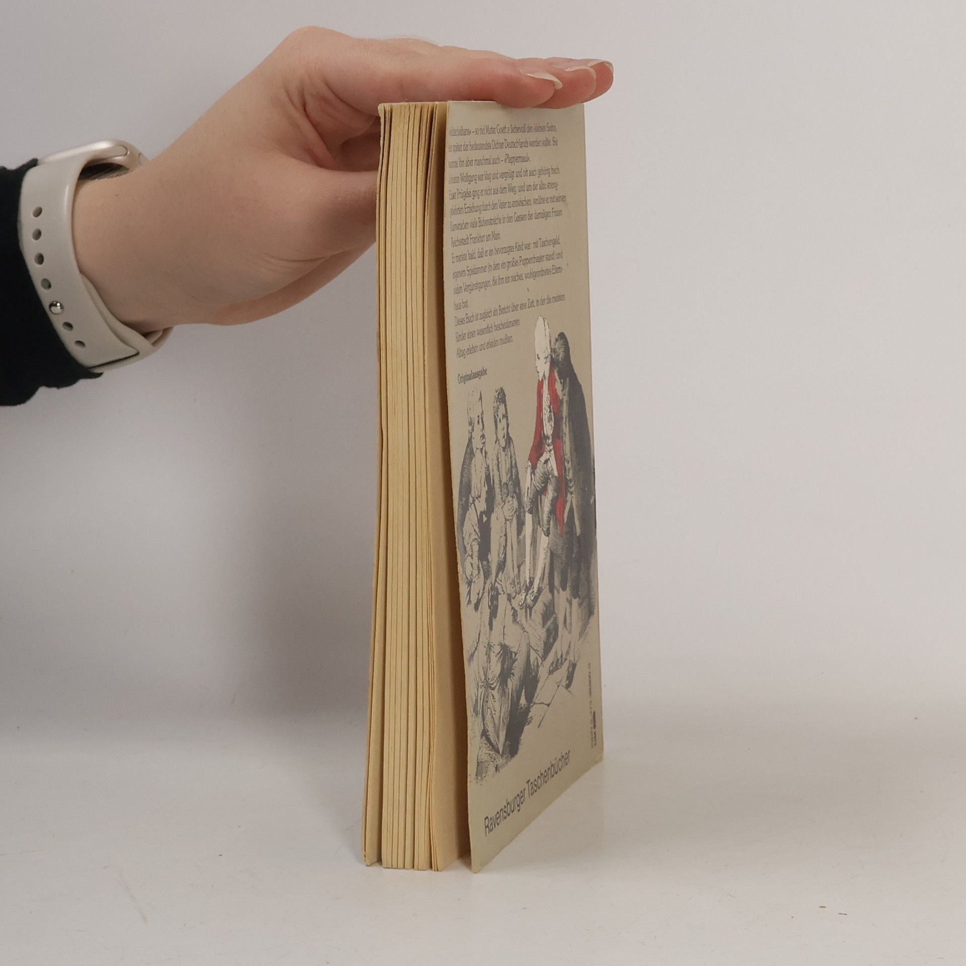 Marianne Bernhard Als die Grossen klein waren: Goethe