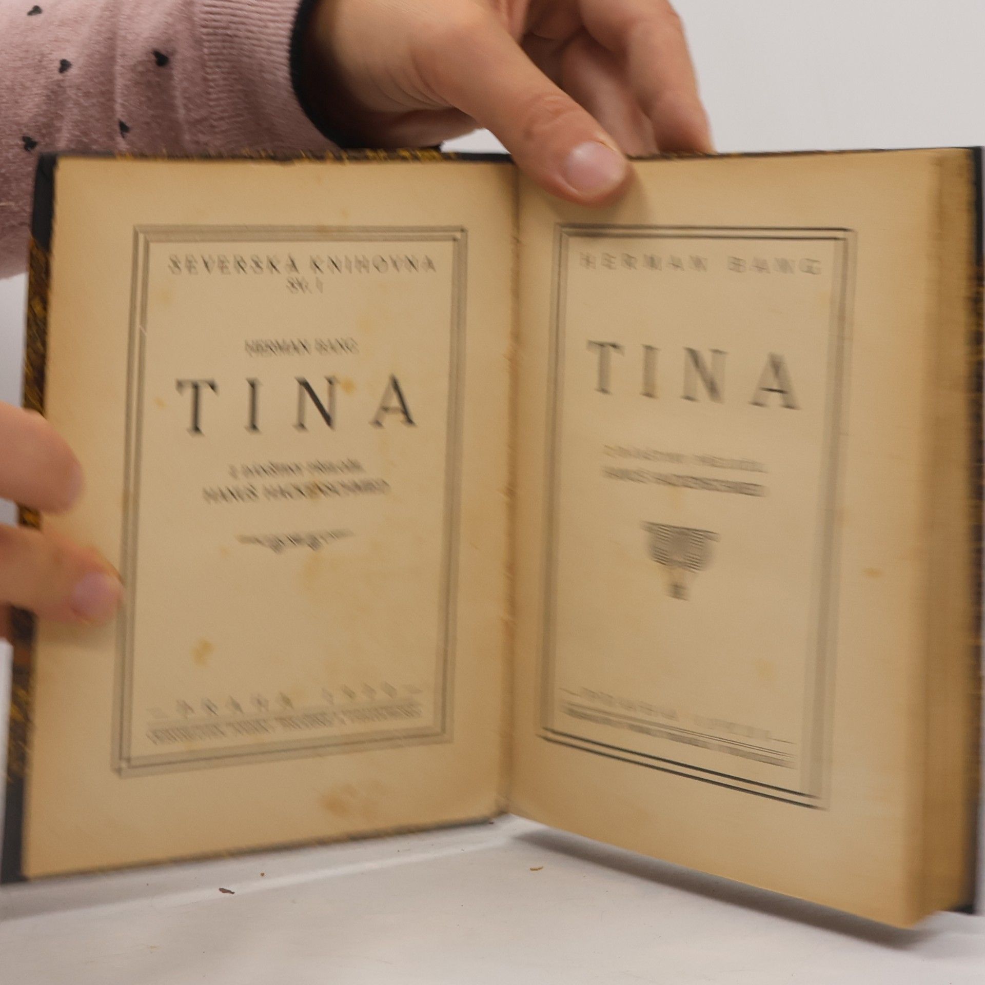 Herman Bang Tina