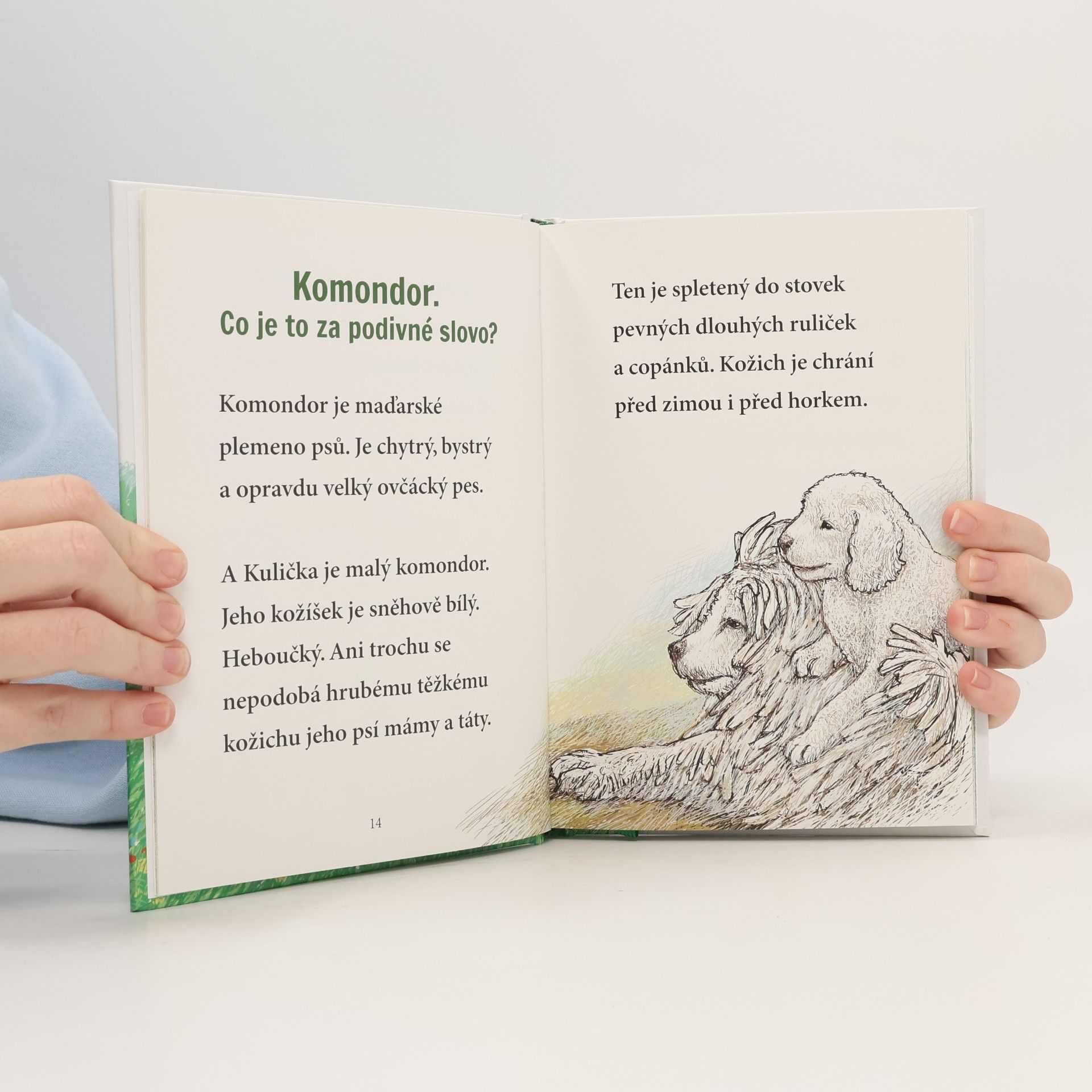 Marta Knauerová Pejsek Kulička – Začínám číst