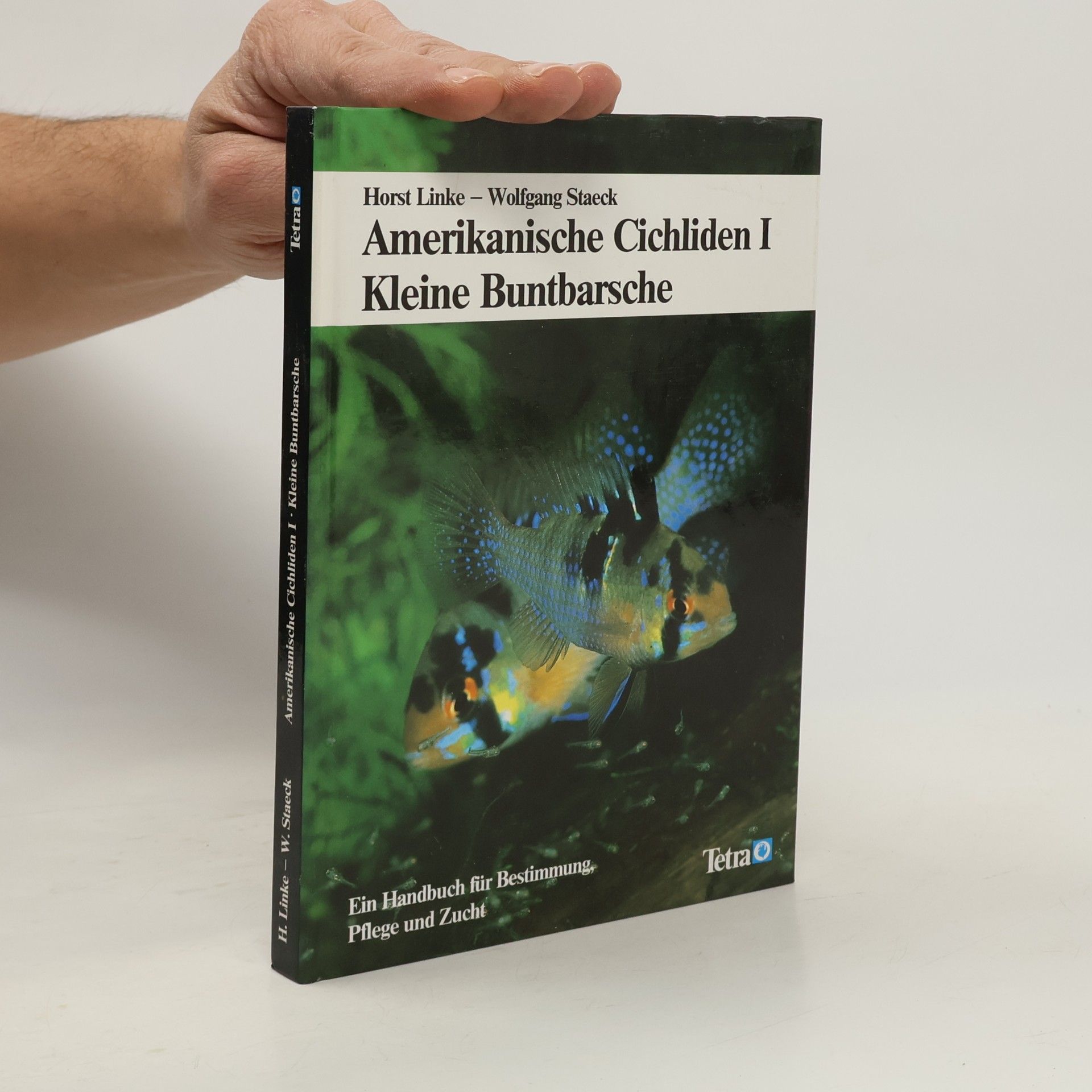 Amerikanische Cichliden. I