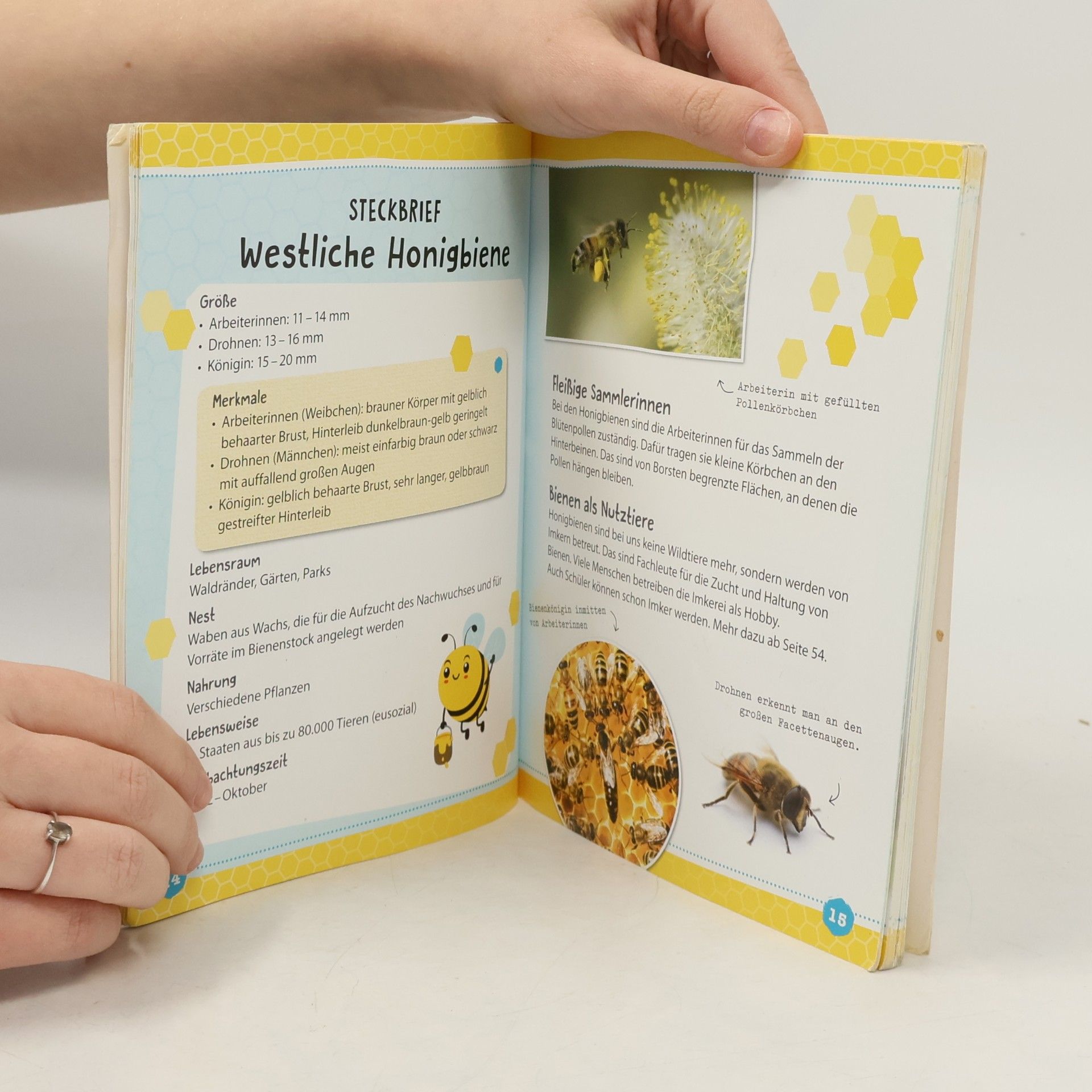 Carola von Kessel Die Biene - ein Sachbuch für Kinder