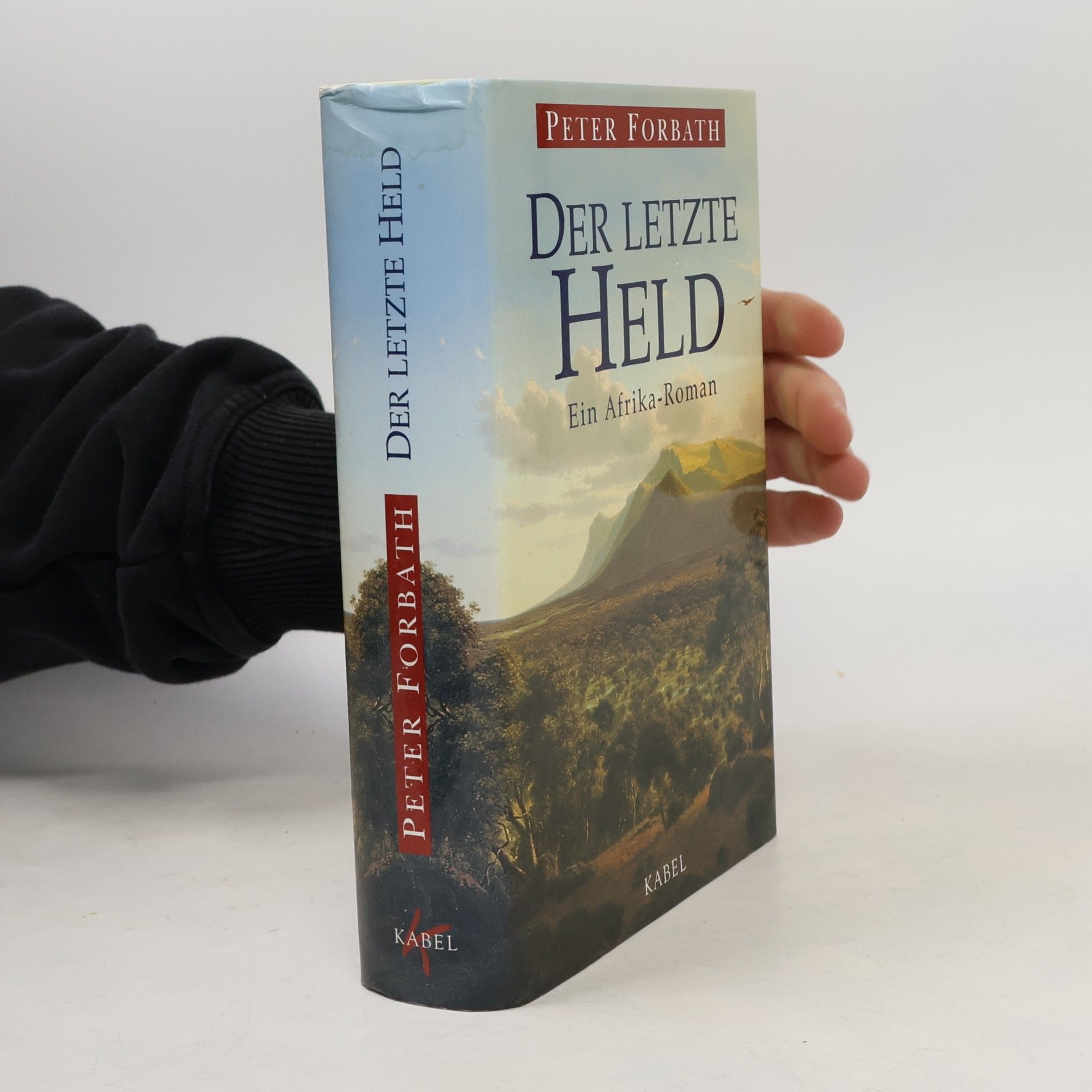Der letzte Held