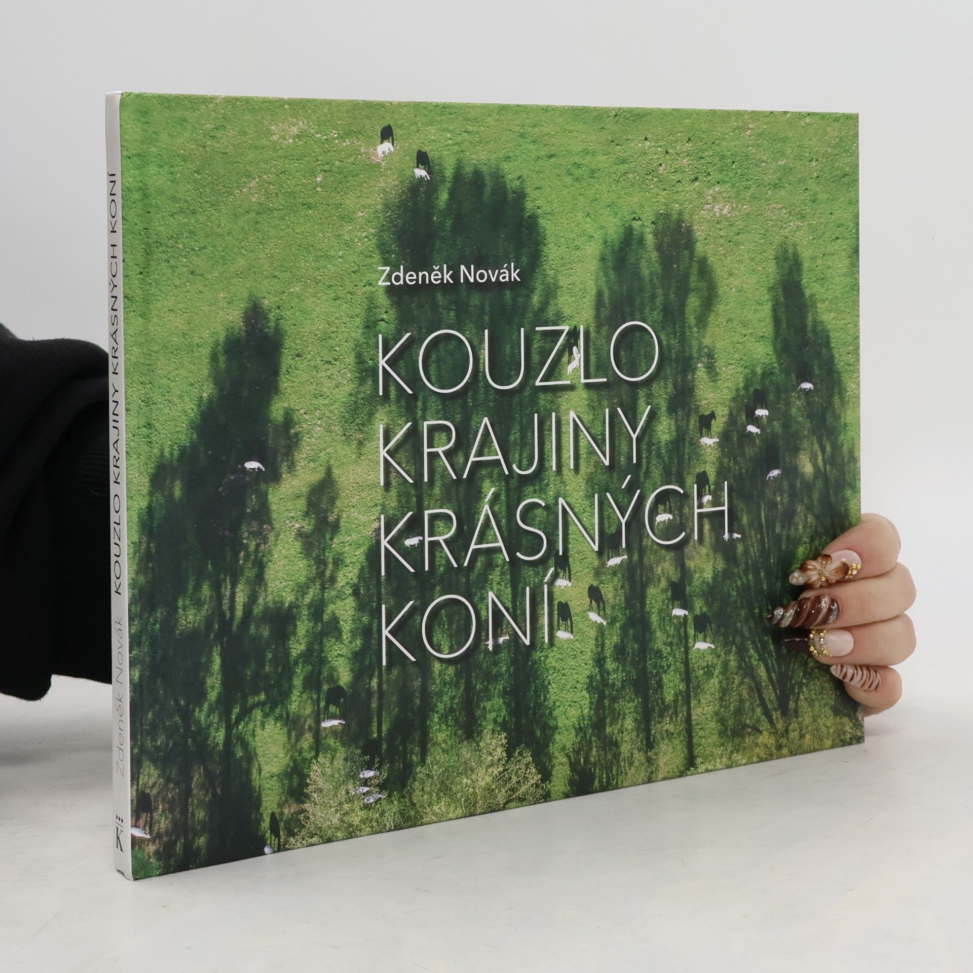 Kouzlo krajiny krásných koní