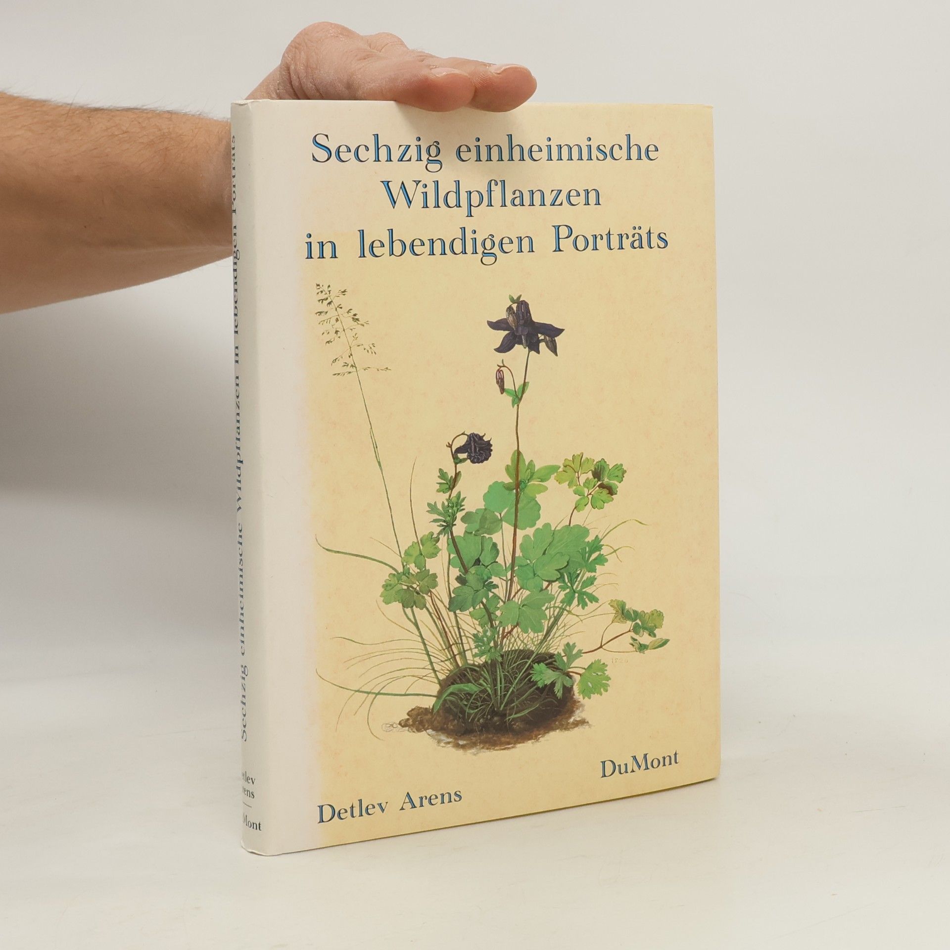 Sechzig einheimische Wildpflanzen in lebendigen Porträts