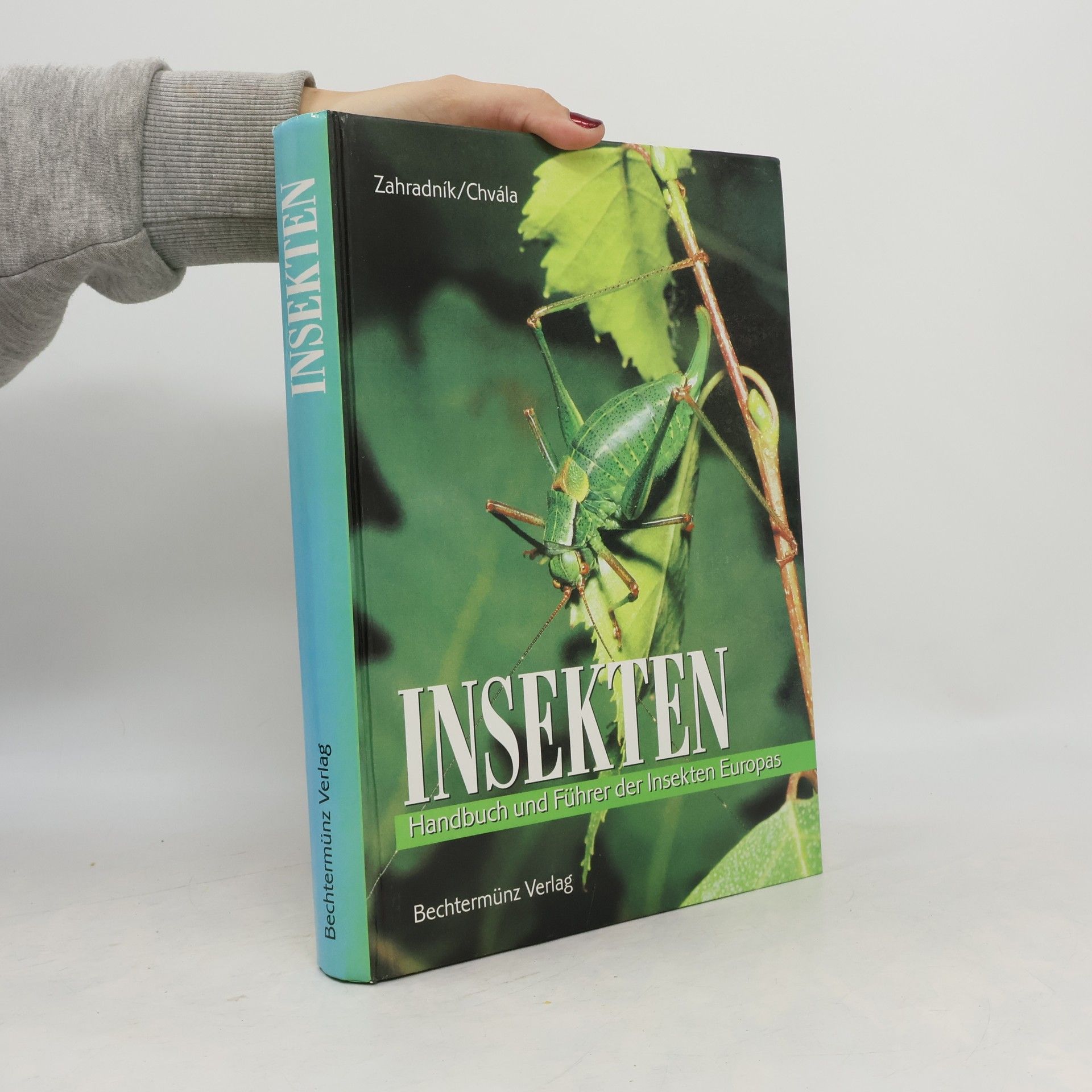 Kolektiv autorů Insekten