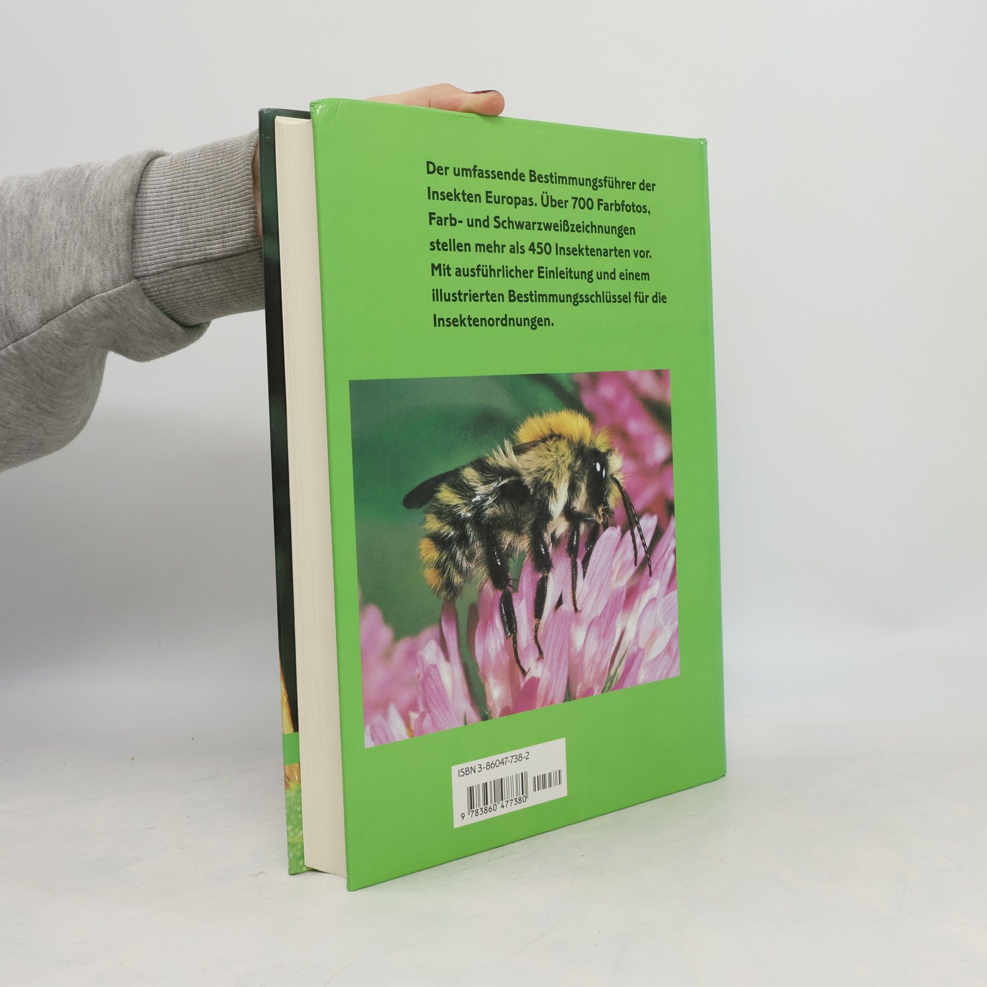 Kolektiv autorů Insekten