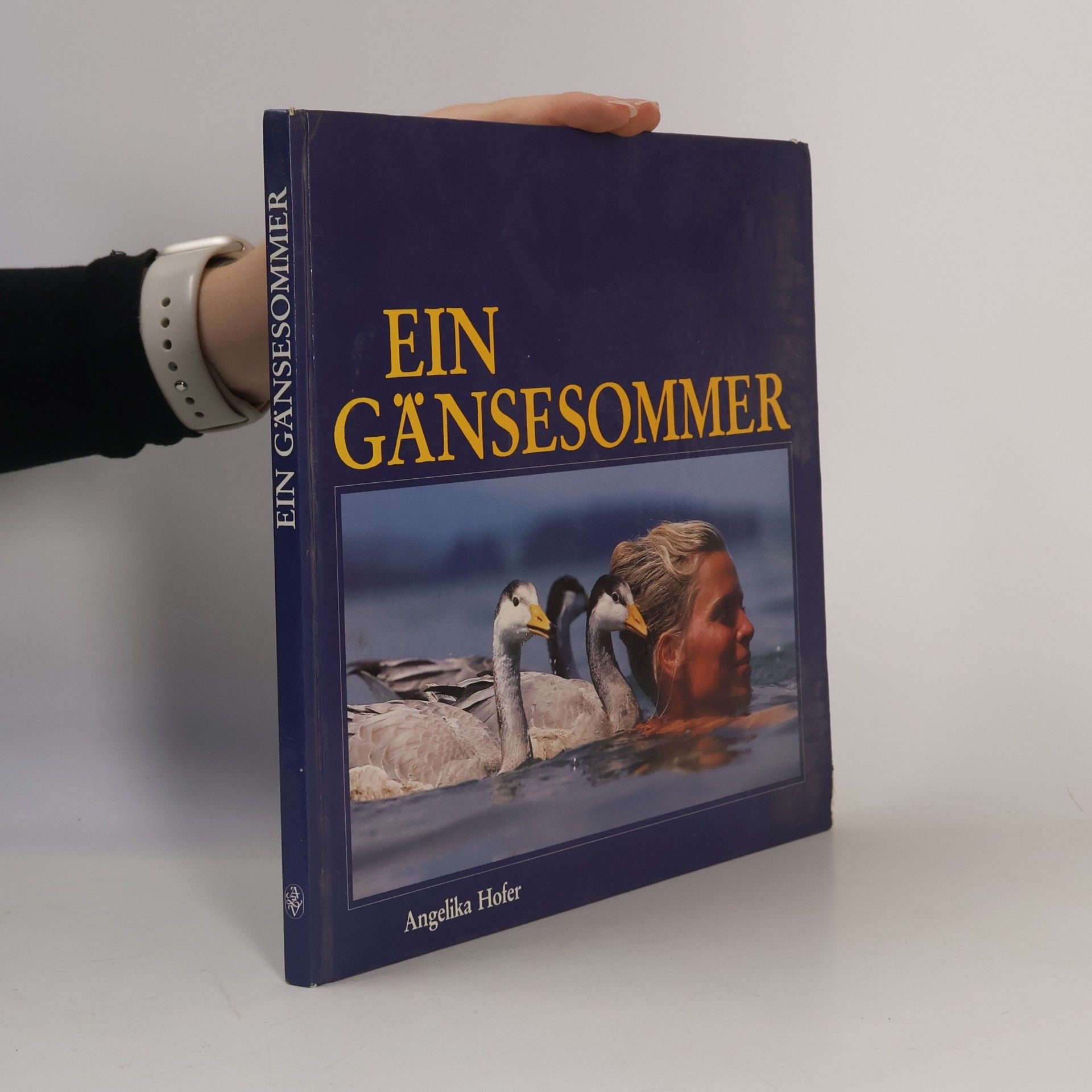 Ein Gänsesommer