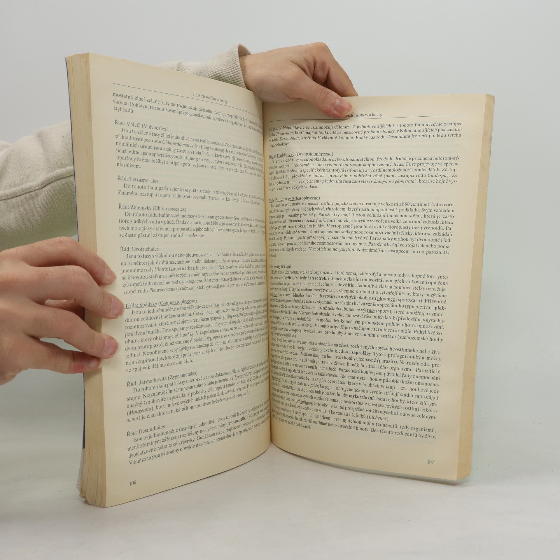 Jiří Holinka Biologie - studijní text: Komplexní příprava k přijímacím zkouškám na VŠ