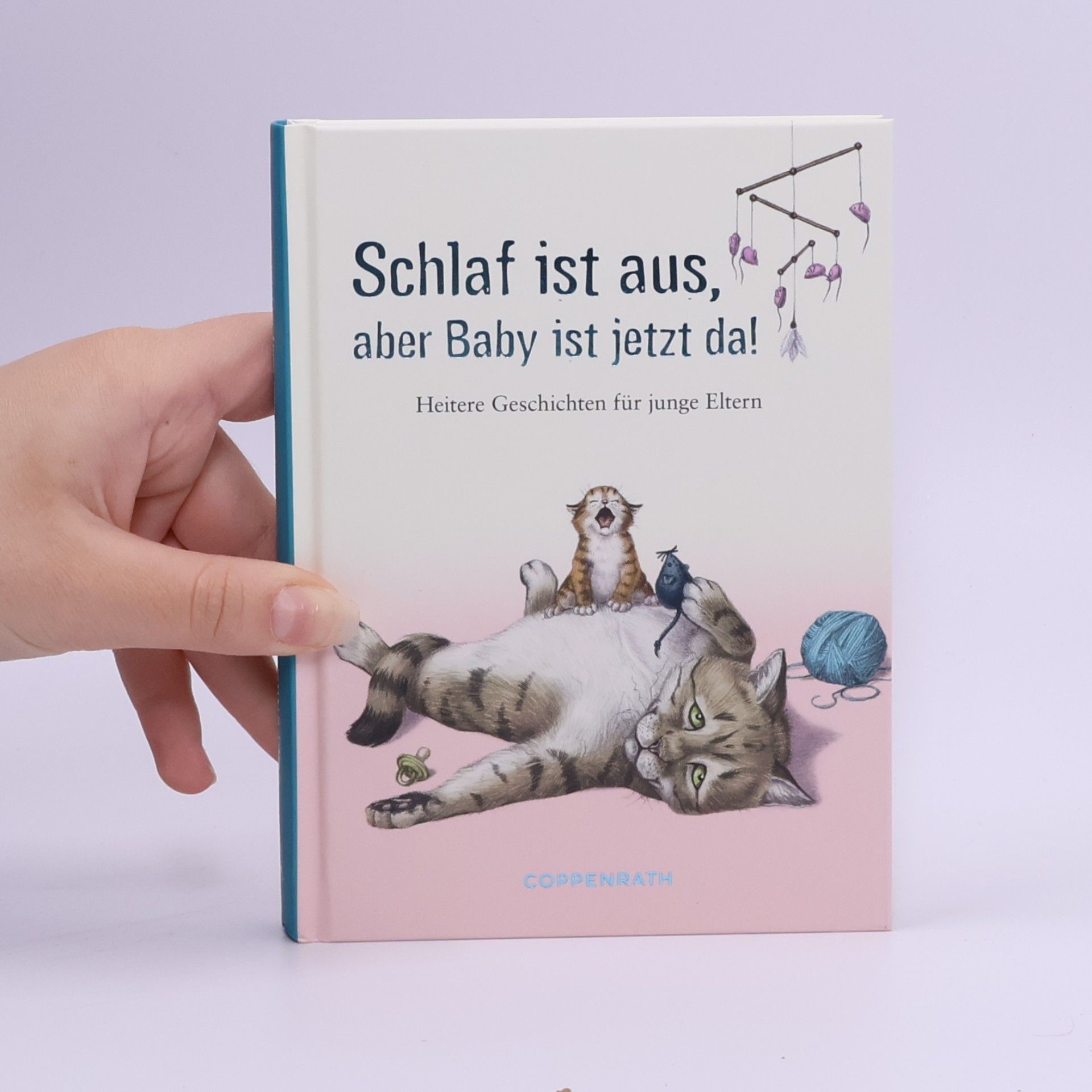 Schlaf ist aus, aber Baby ist jetzt da. Heitere Geschichten