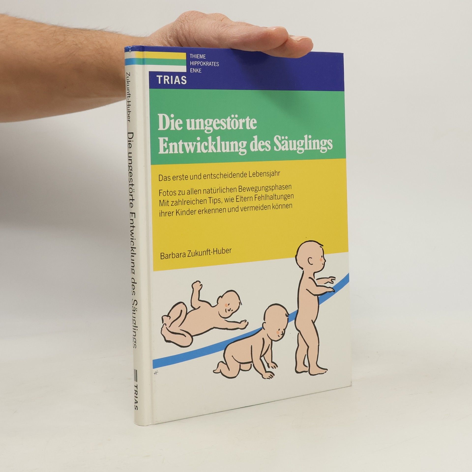 Barbara Zukunft Huber Die ungestörte Entwicklung des Säuglings