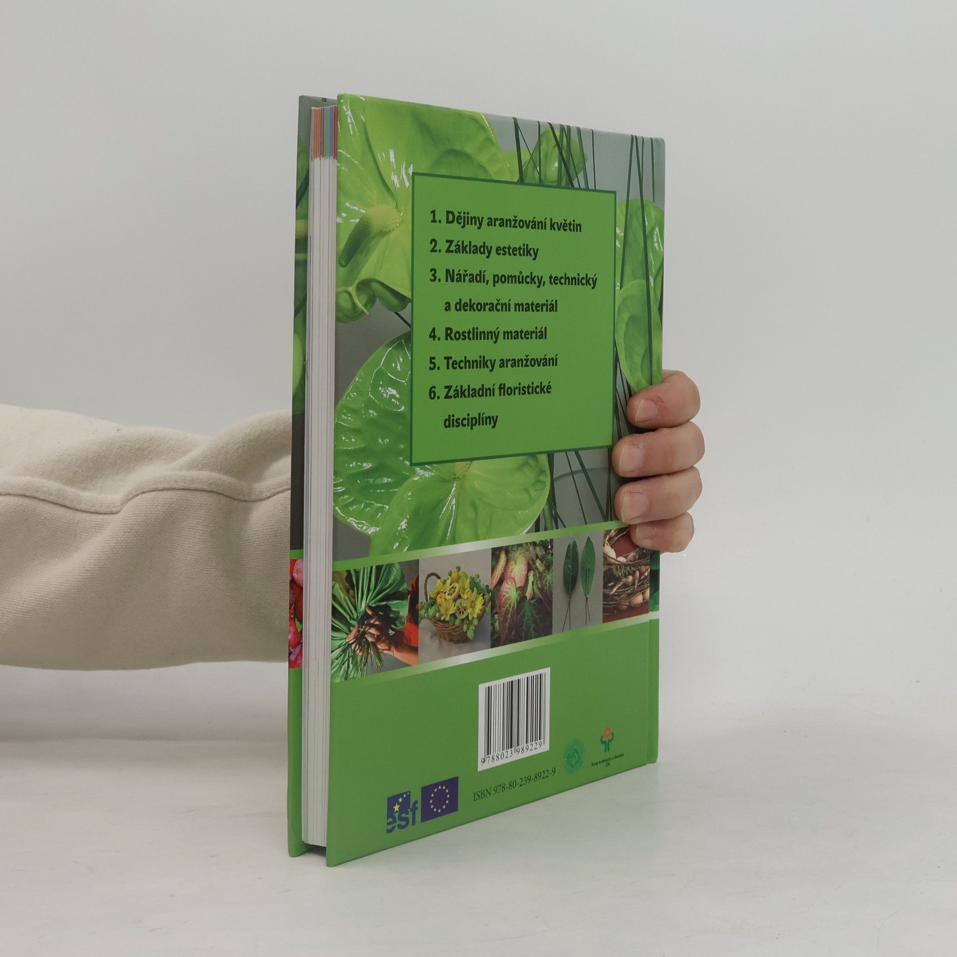 Kolektiv autorů Floristika (1)