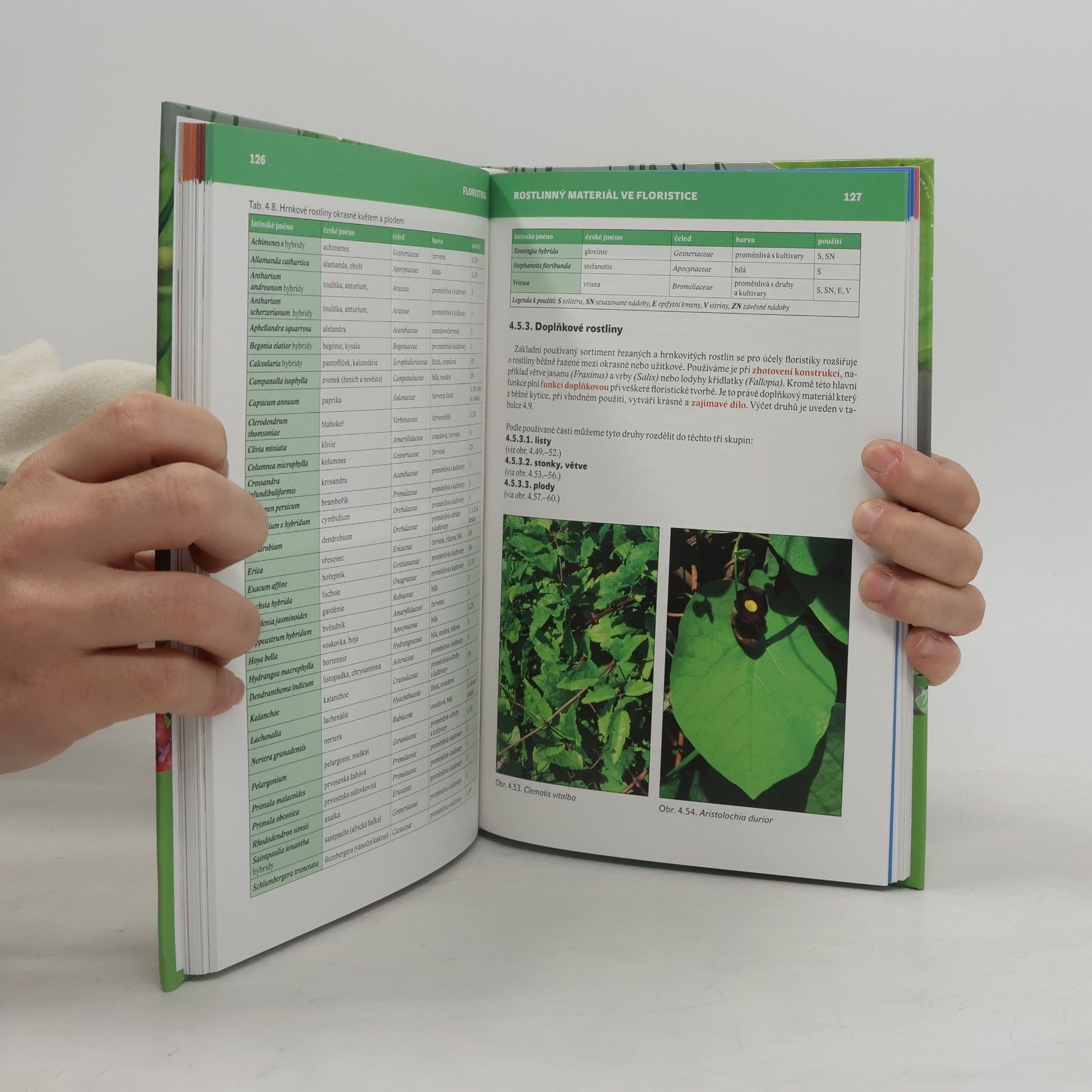 Kolektiv autorů Floristika (1)