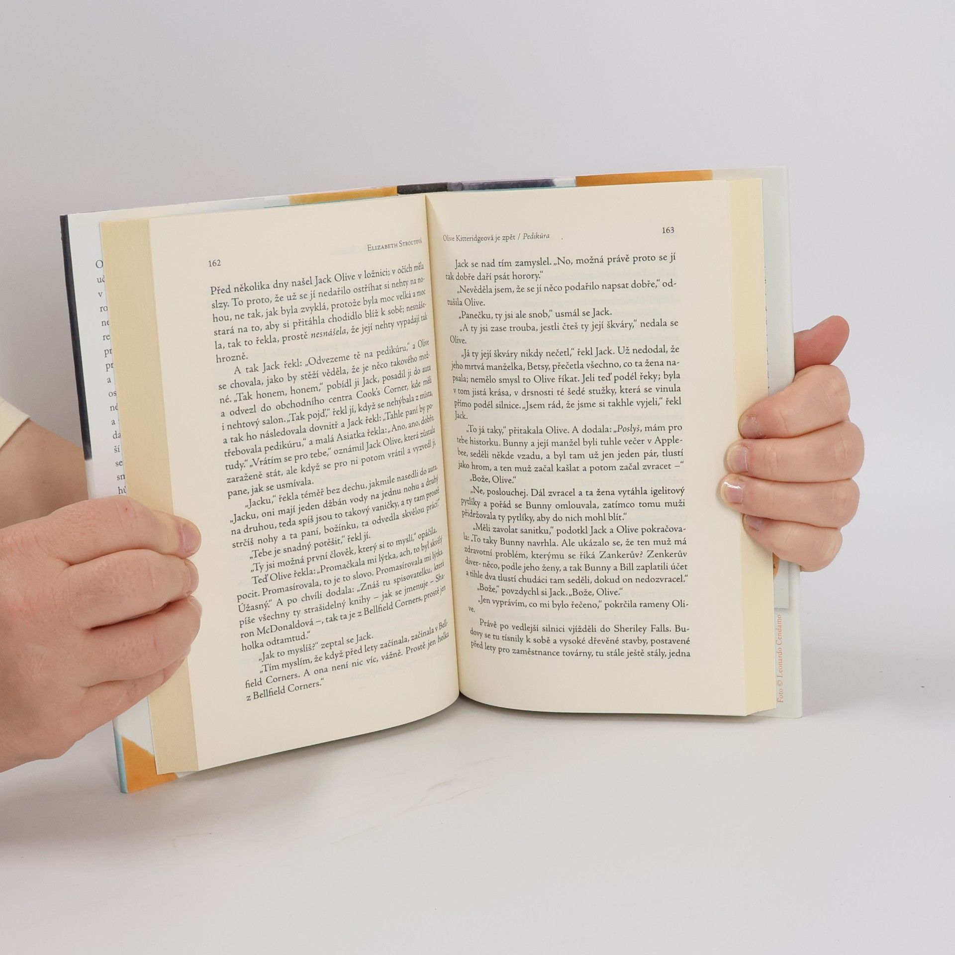 Elizabeth Strout Olive Kitteridgeová je zpět