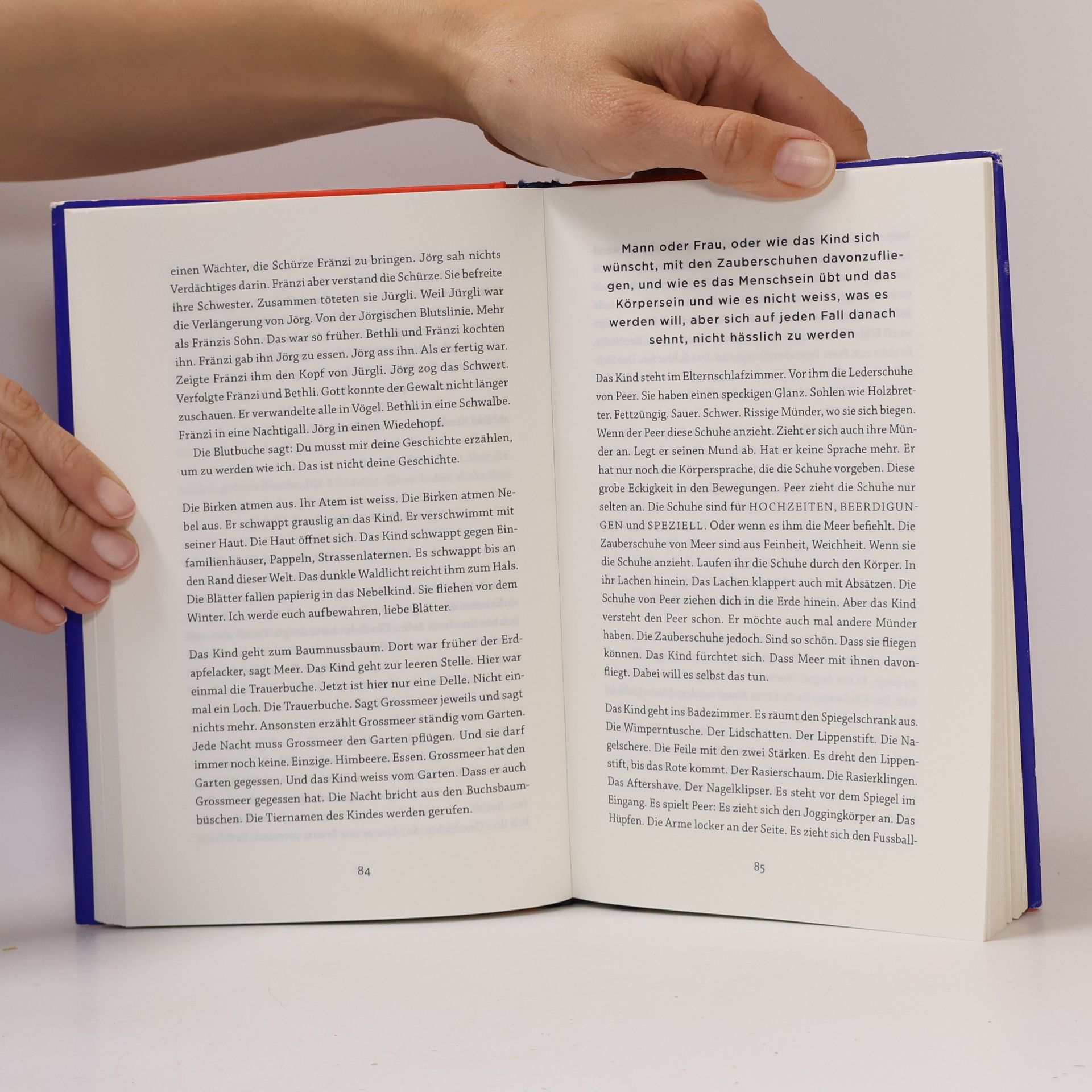 Kim de l. Horizon Blutbuch