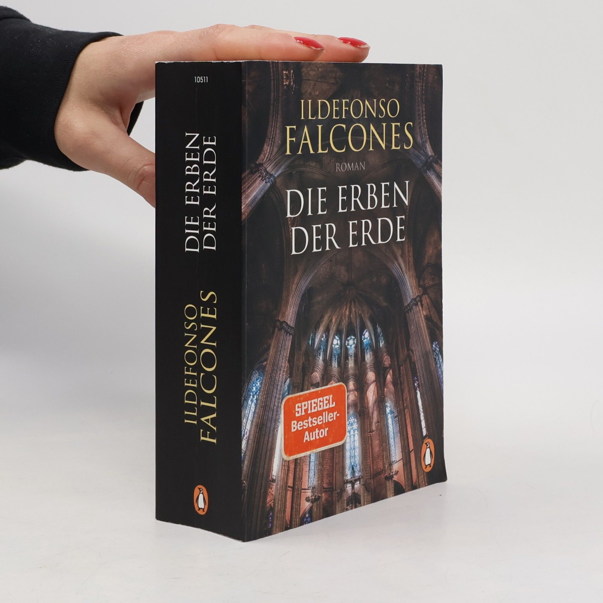 Ildefonso Falcones Die Erben der Erde