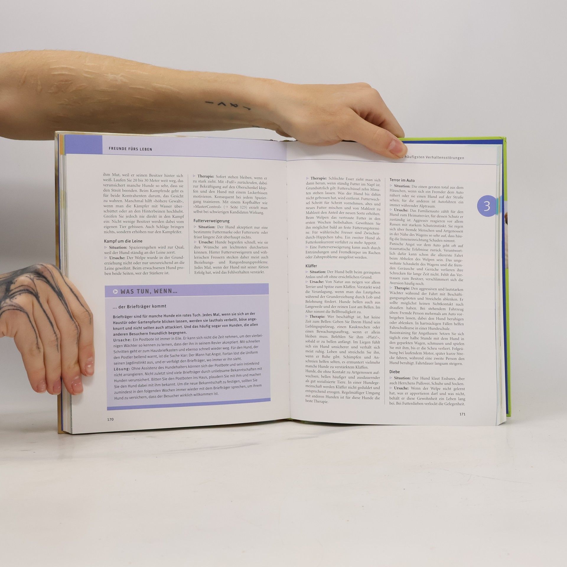 Gerd Ludwig Das große GU-Praxishandbuch Hunde