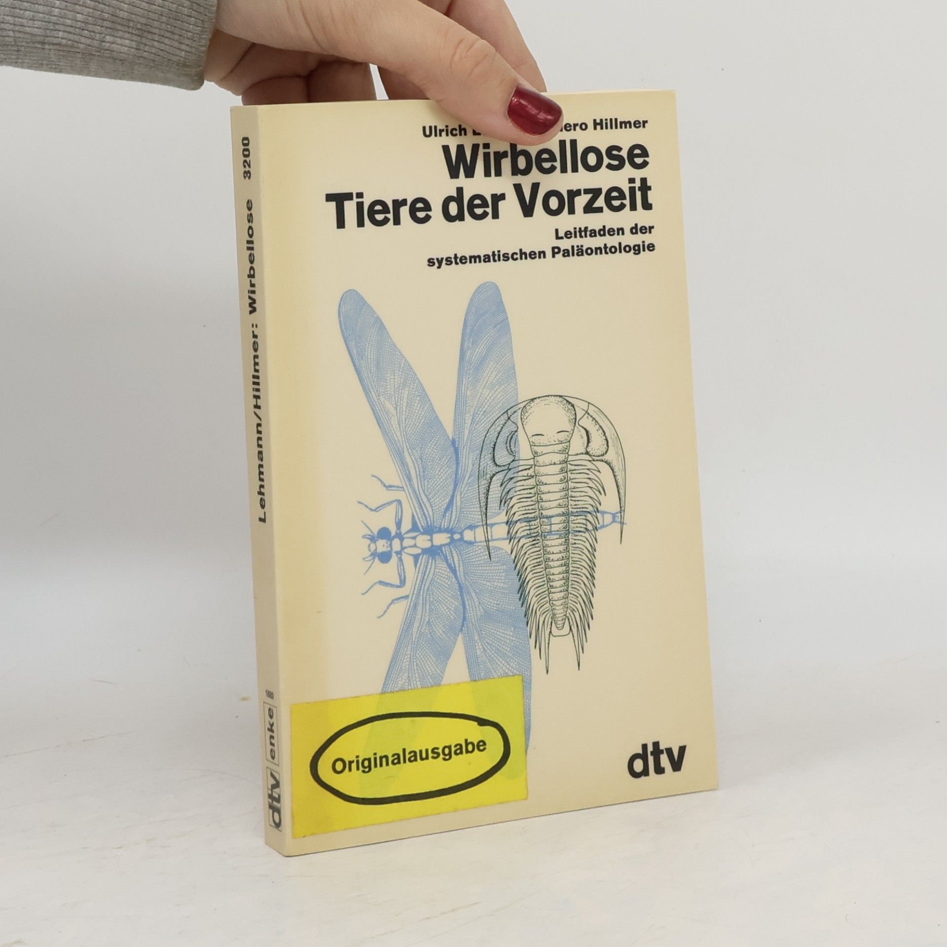 Wirbellose Tiere der Vorzeit