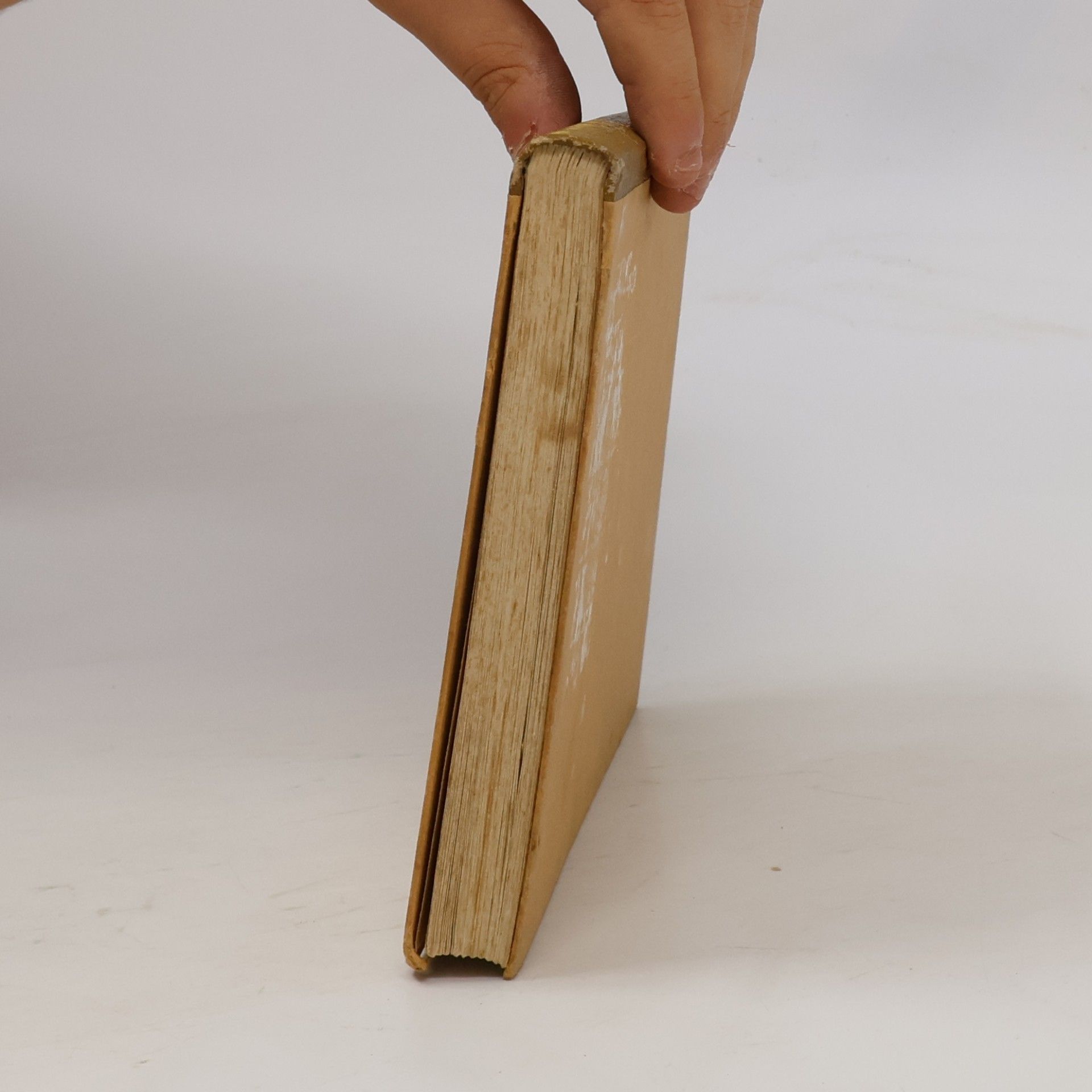 Karl Duch Wiener Kochbuch