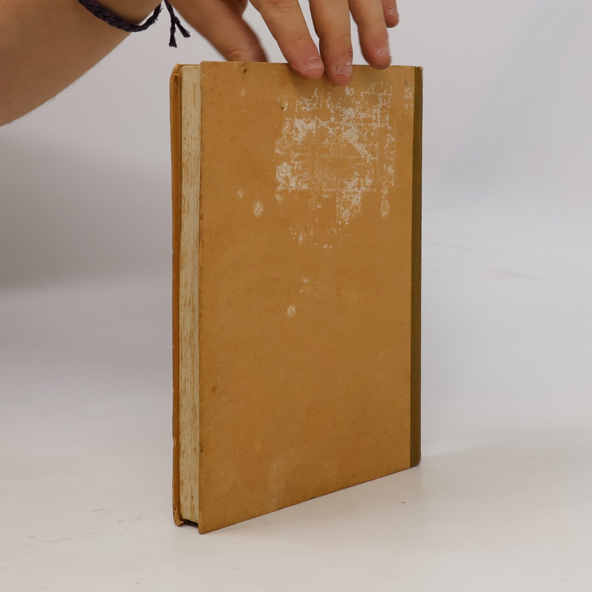 Karl Duch Wiener Kochbuch
