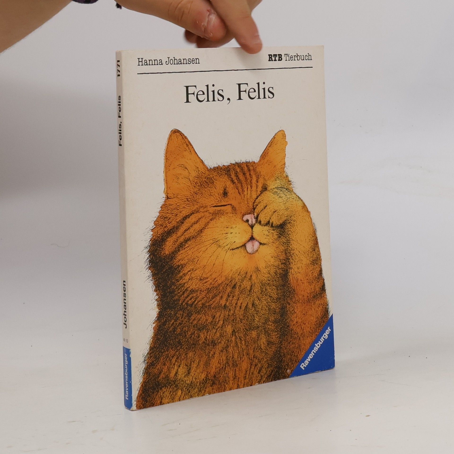 Hanna Johansen Felis, Felis
