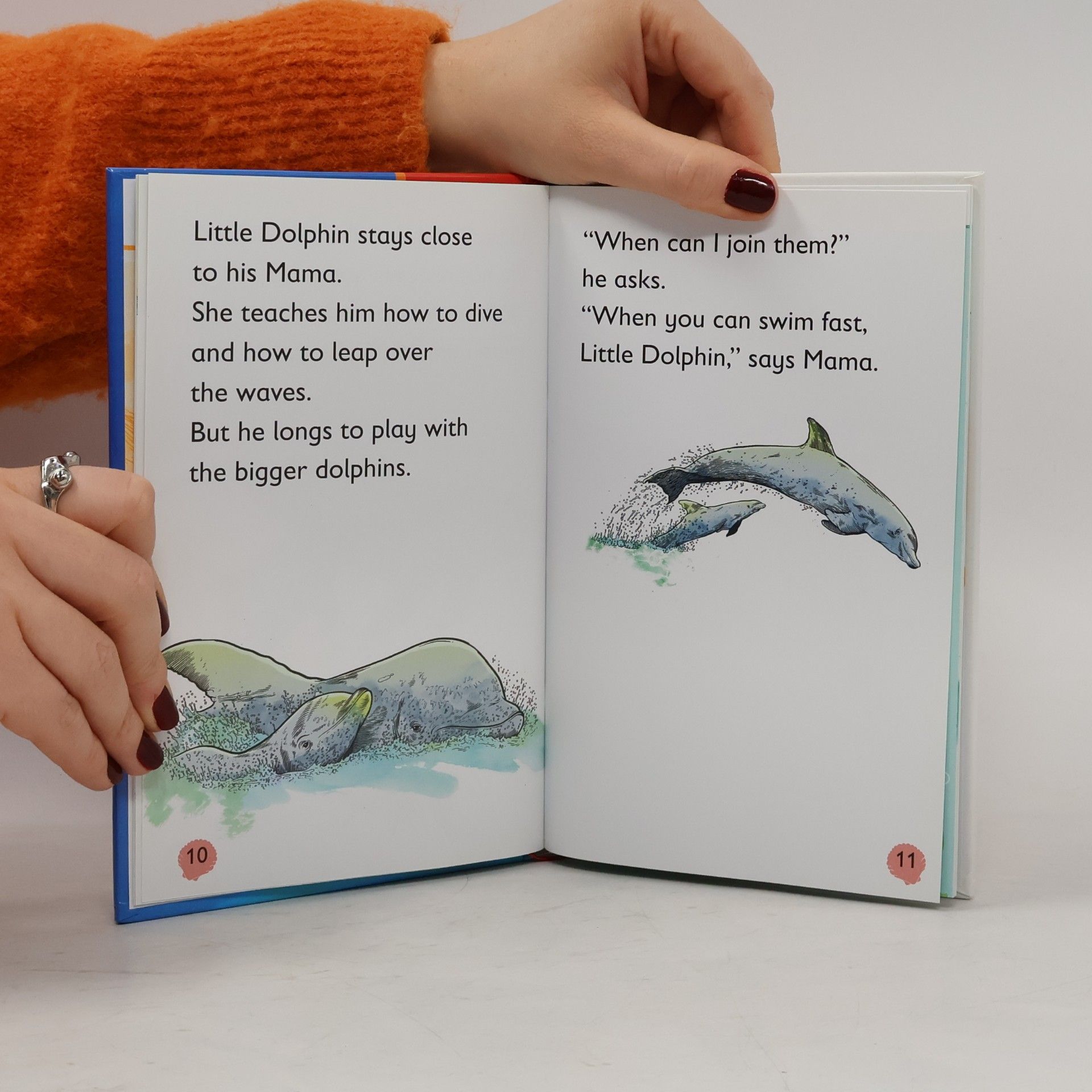 Sue Unstead DK Reads: Little Dolphin