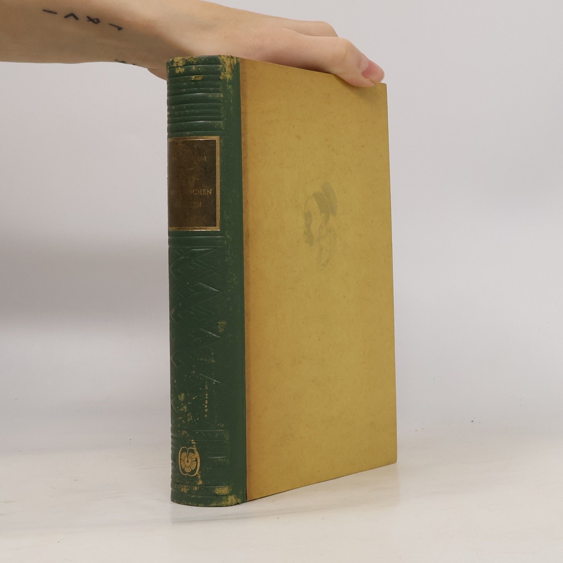 Die Südafrikanischen Novellen