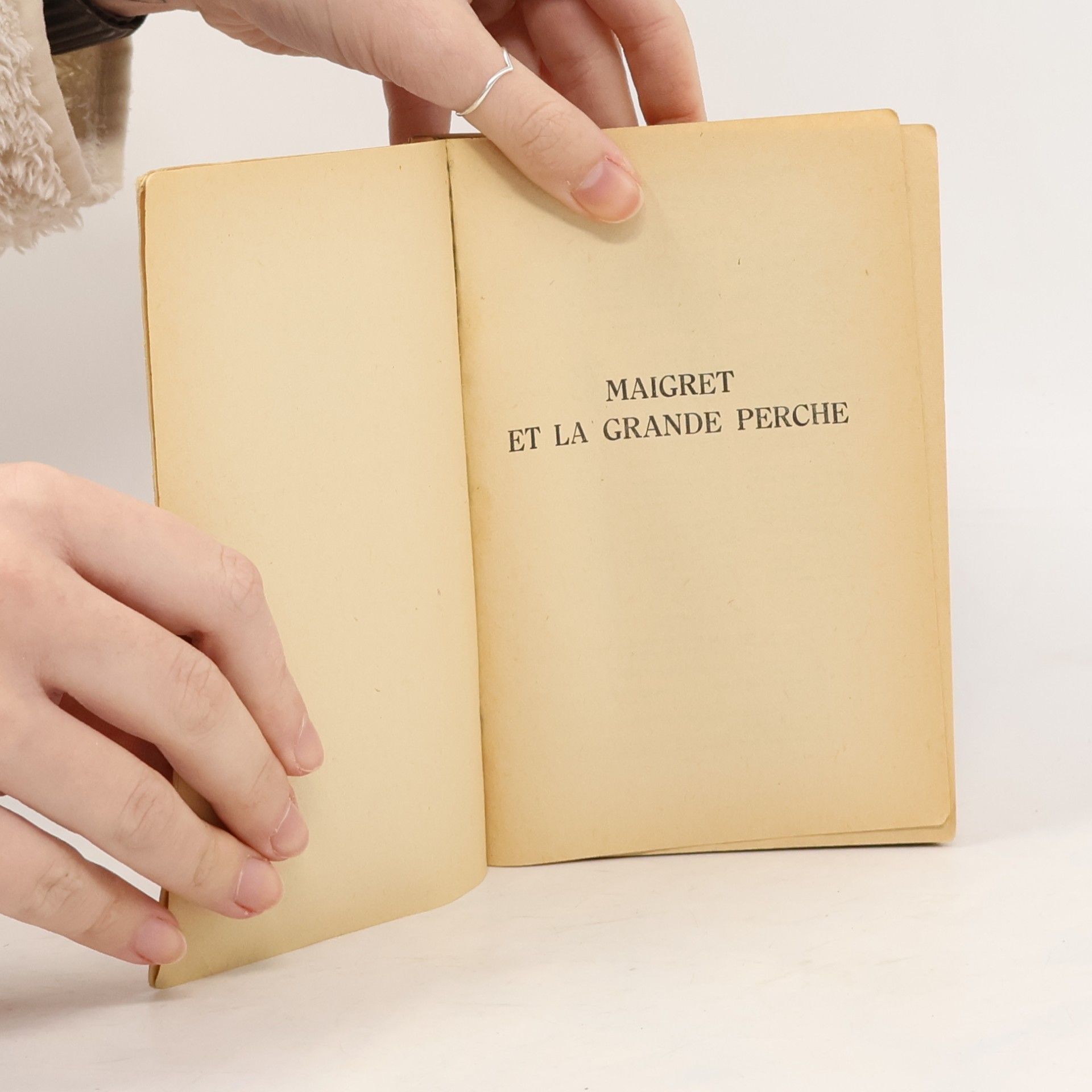 Georges Simenon Maigret et la grande perche