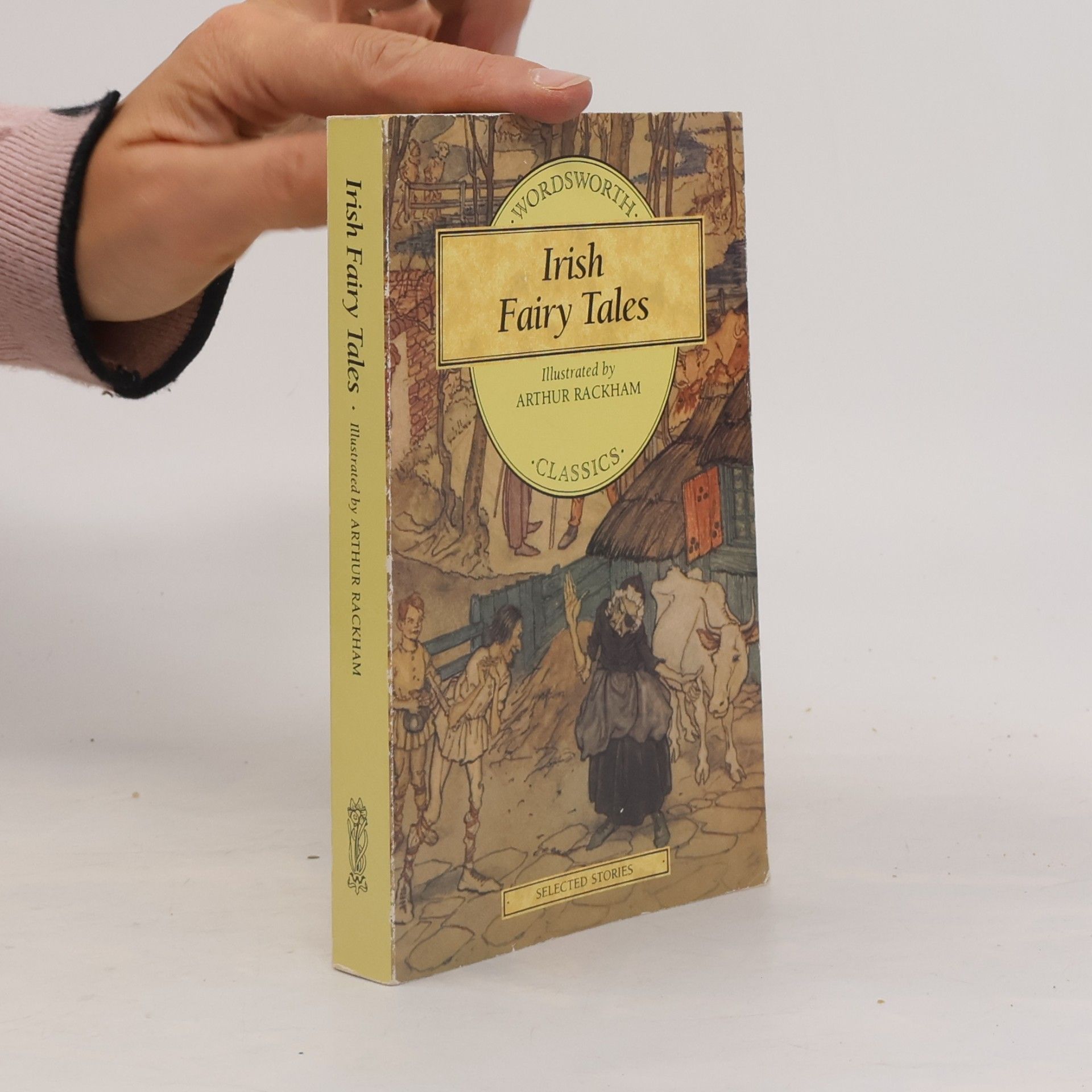 Irish Fairy Tales