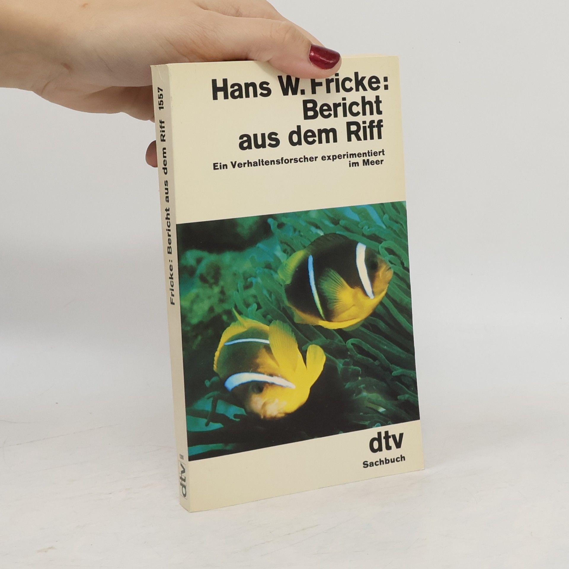 Bericht aus dem Riff