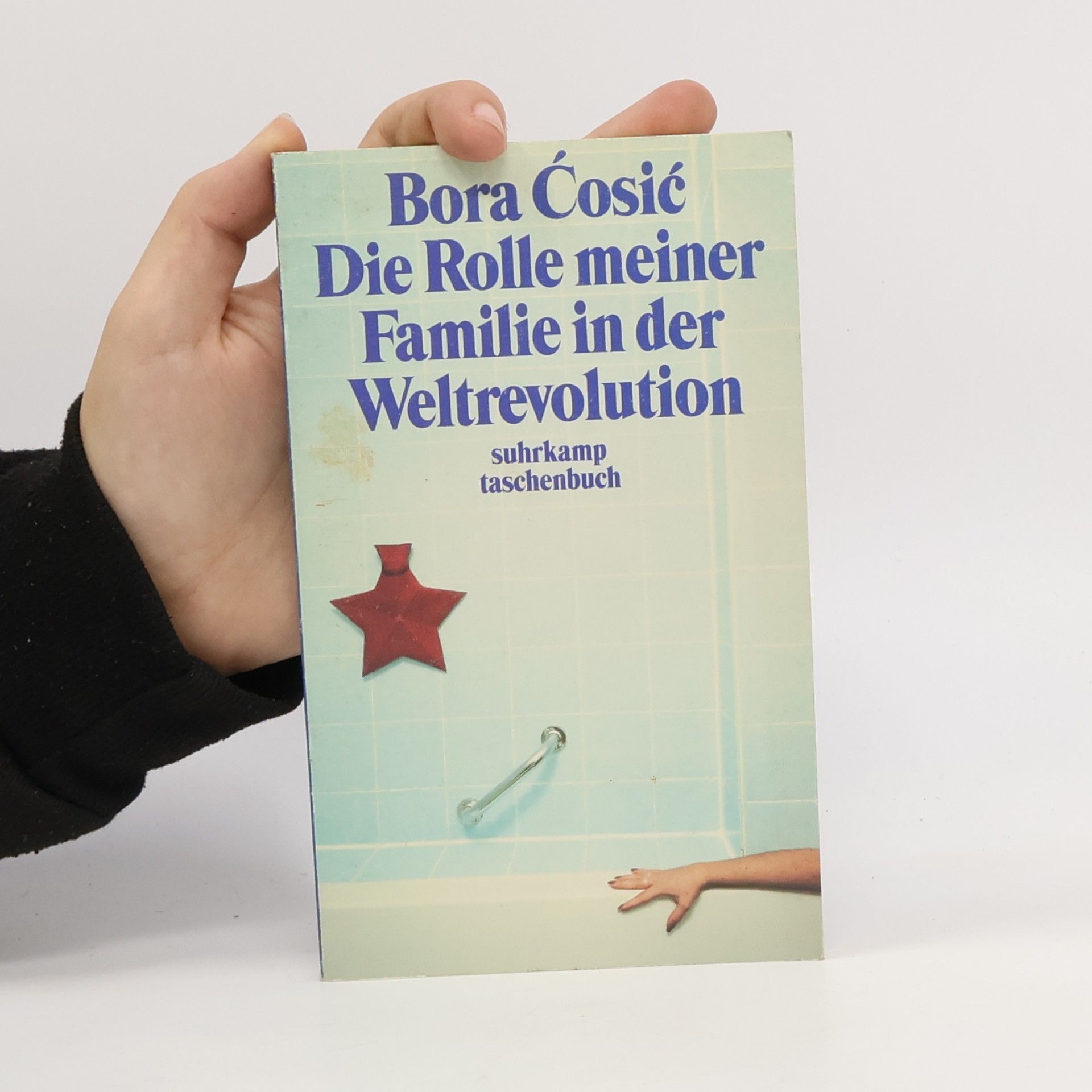 Bora Ćosić Die Rolle meiner Familie in der Weltrevolution
