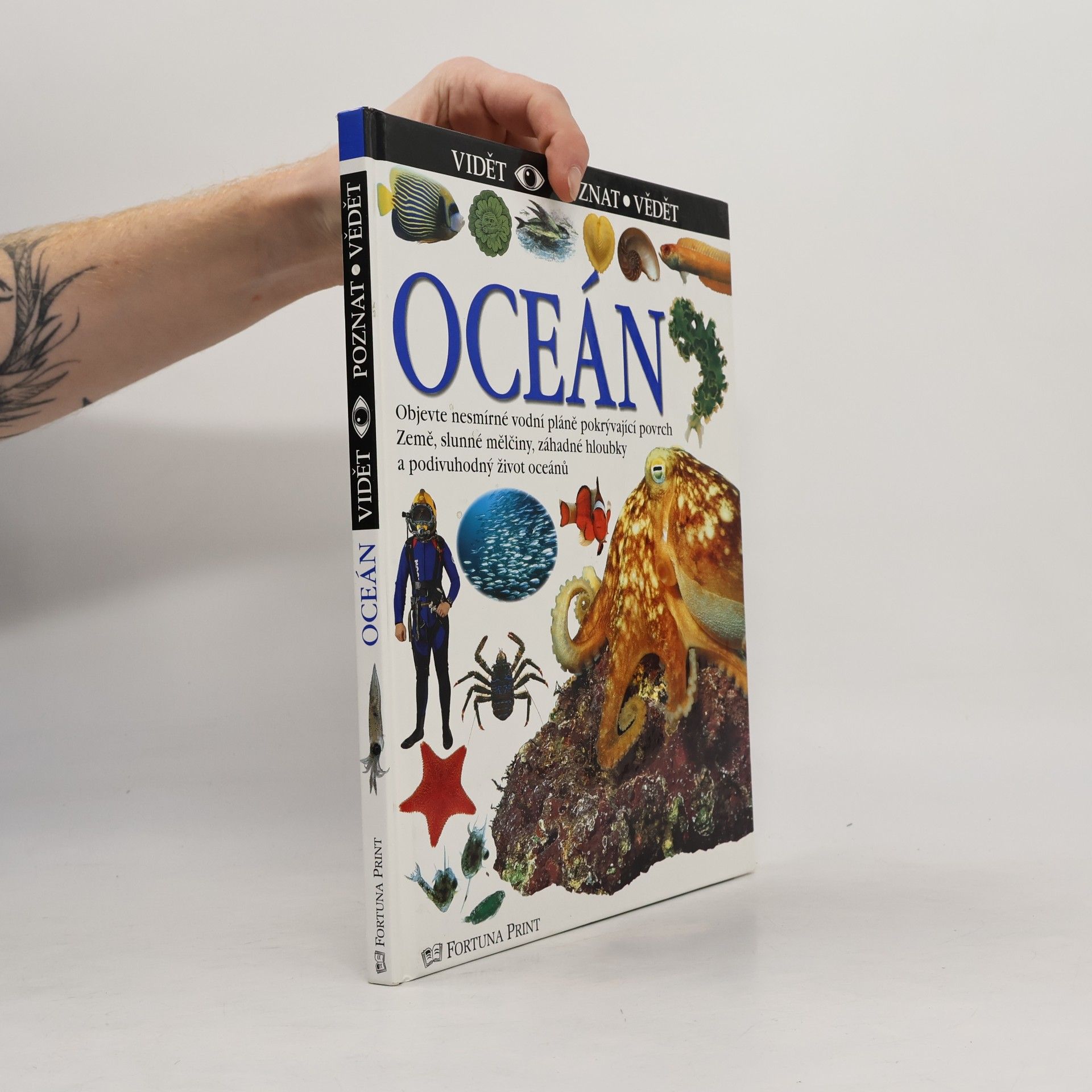 Oceán