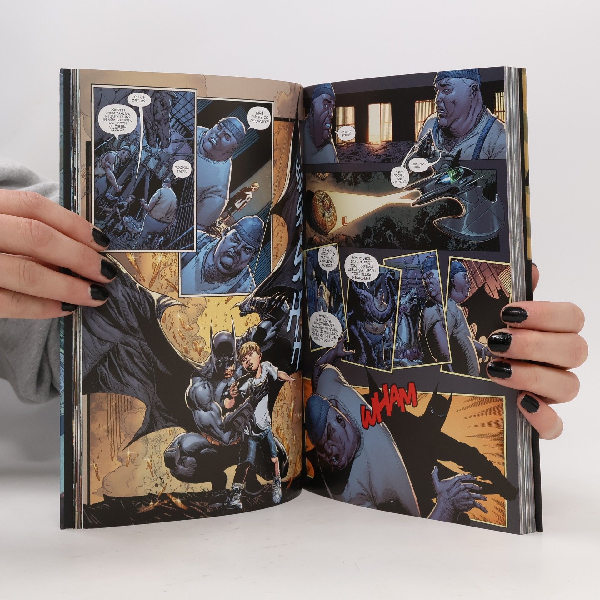 Gregg Hurwitz Batman - Temný rytíř. Kniha třetí, Šílený