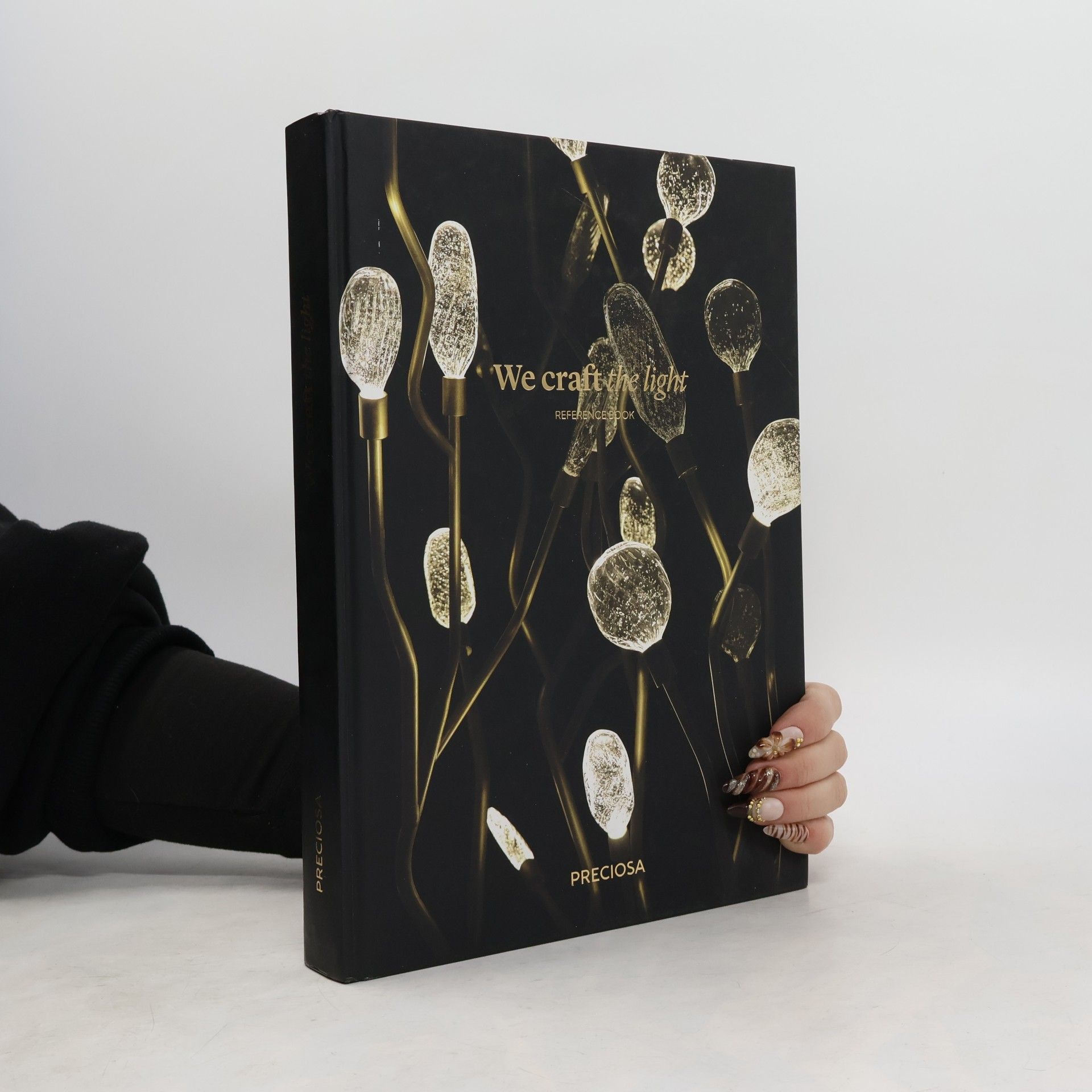Autores varios We Craft The Light