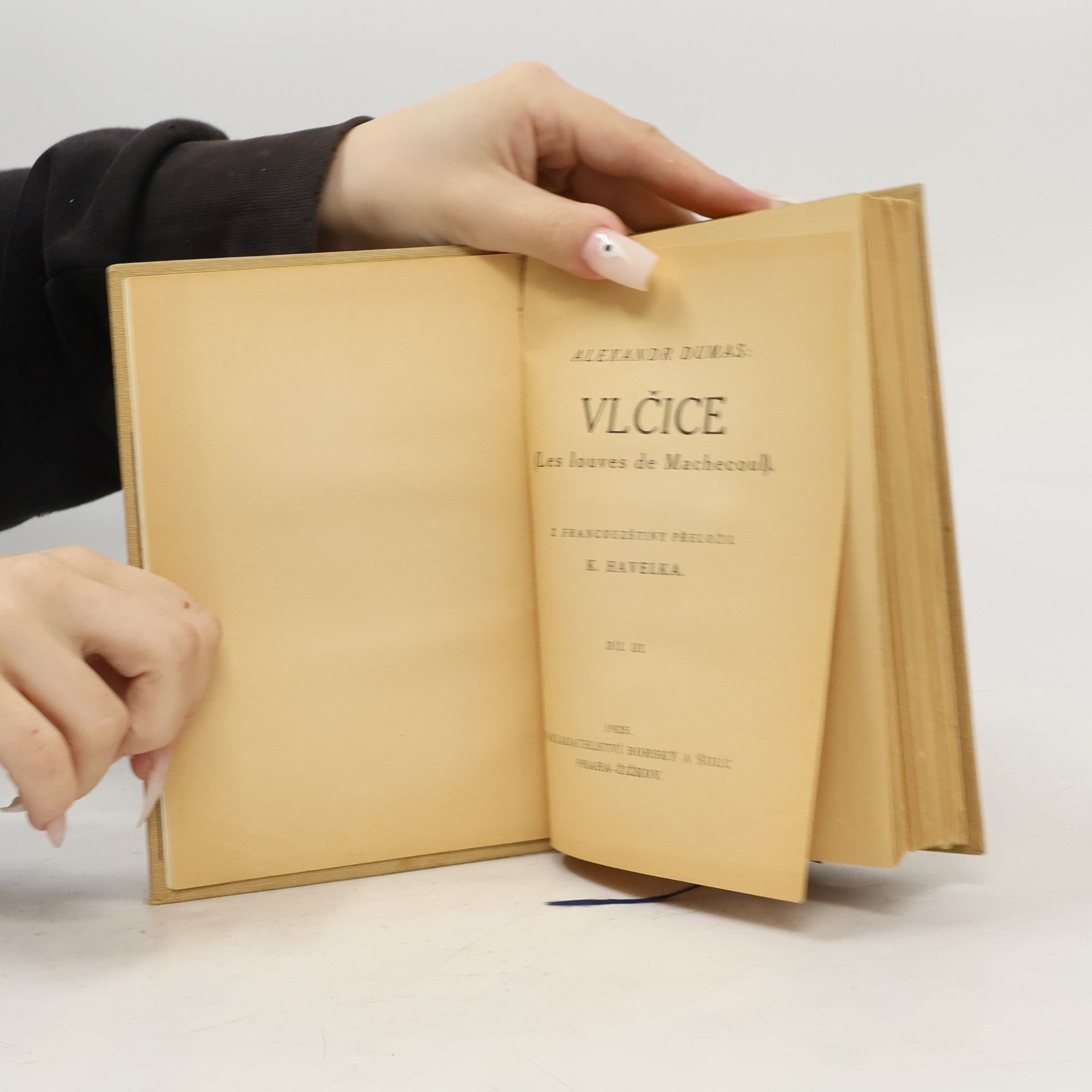 K. Havelka Vlčice 3