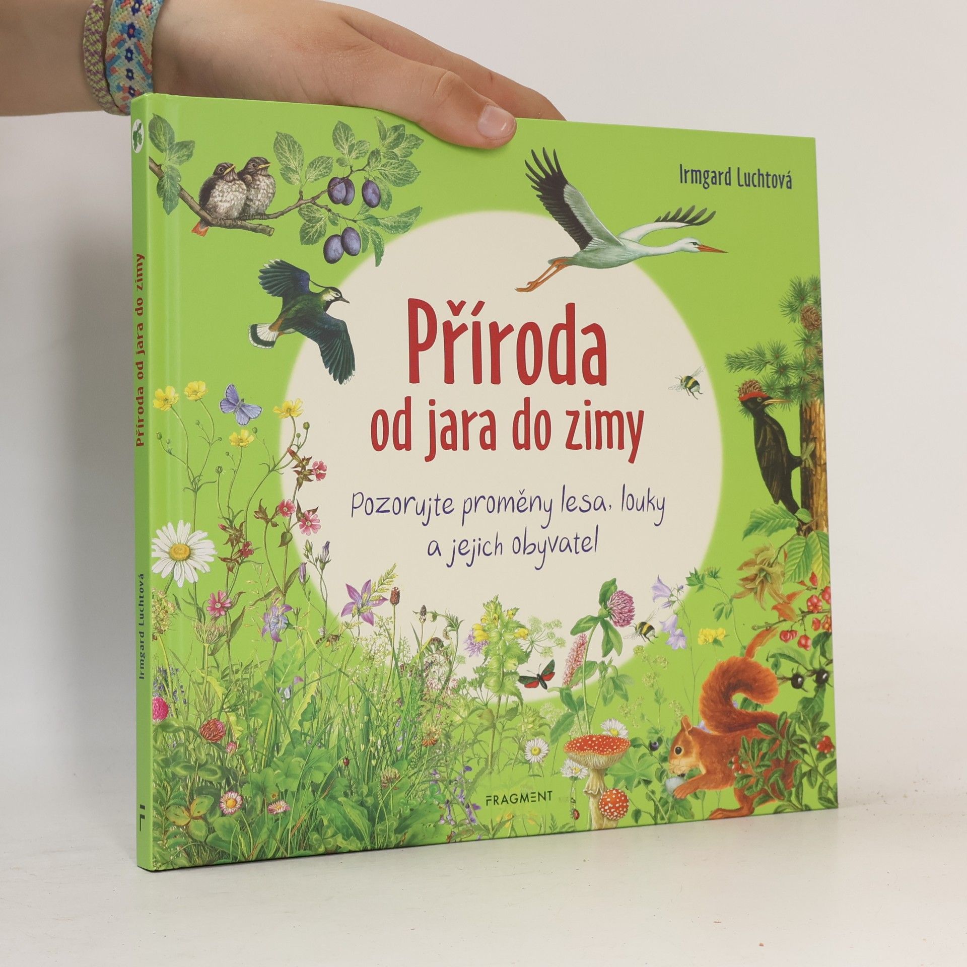 Příroda od jara do zimy