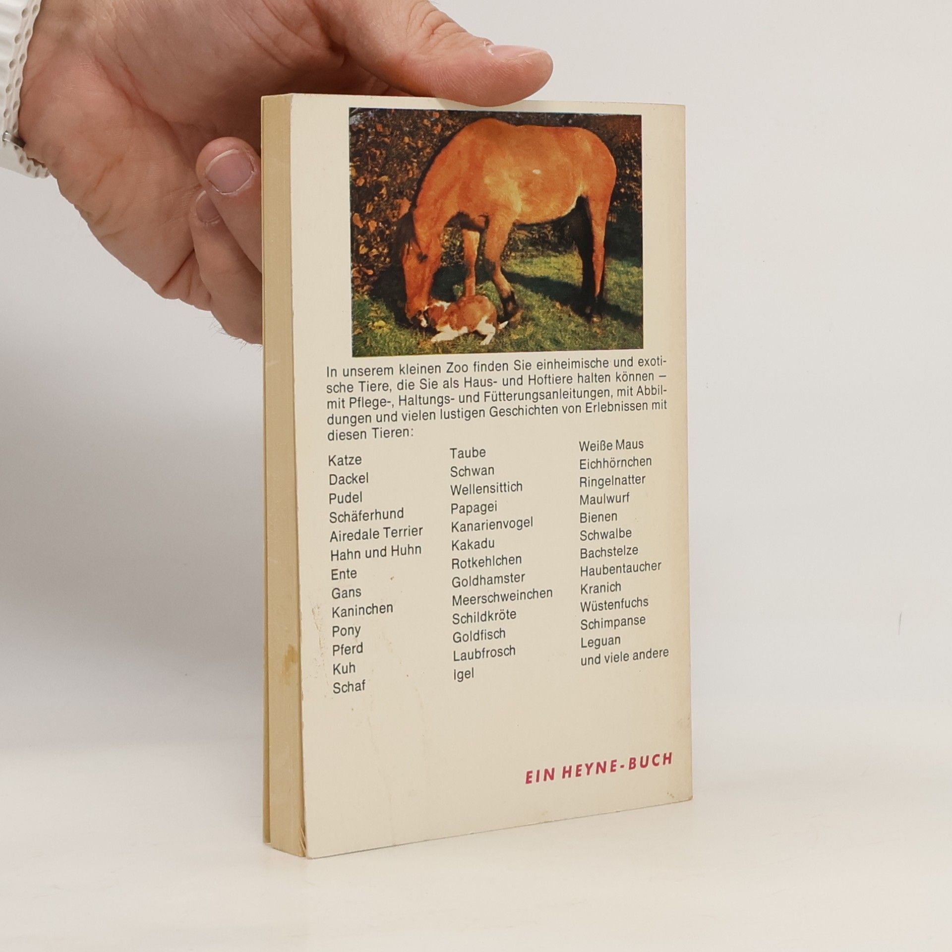 Autorenkollektiv Mein kleiner Zoo
