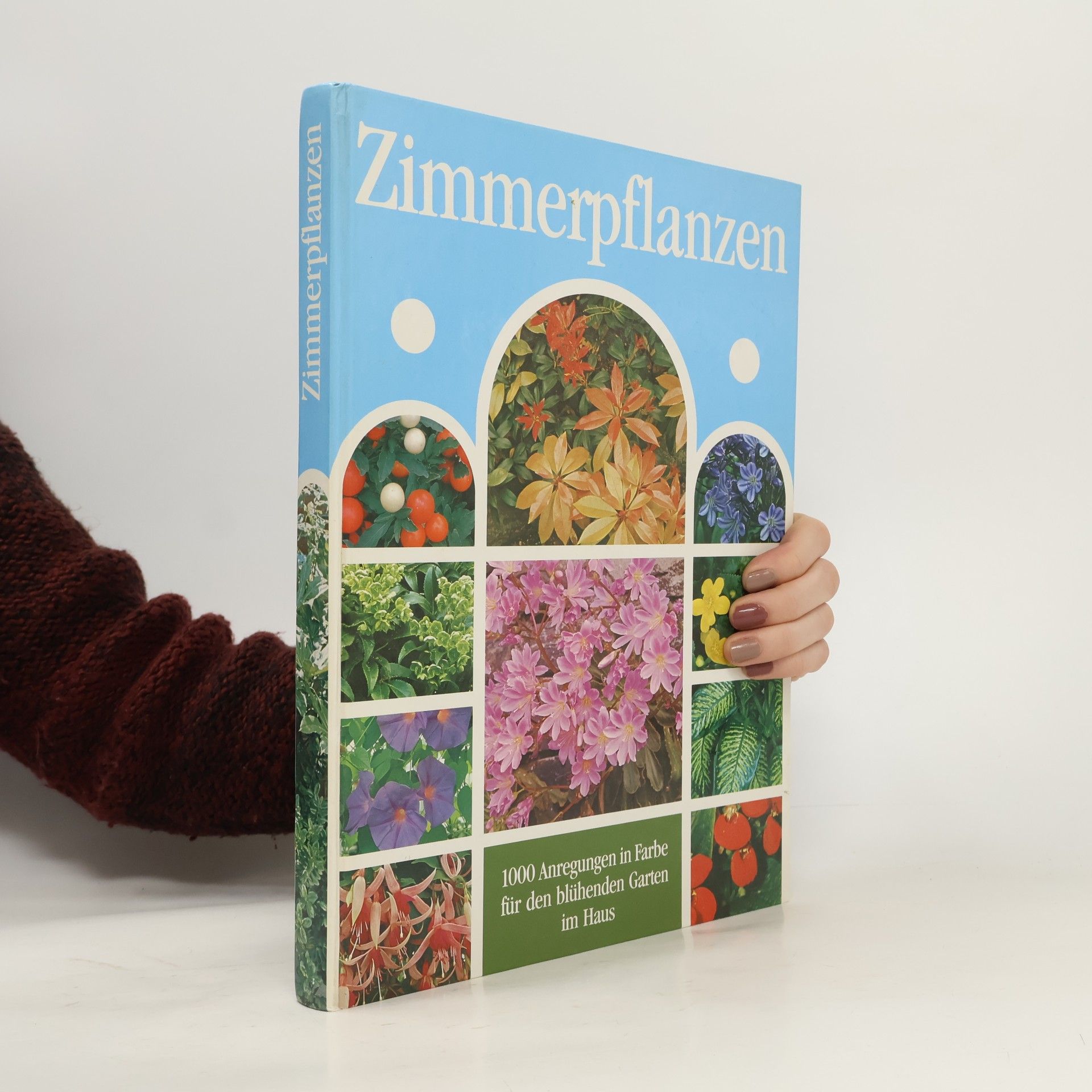 Zimmerpflanzen