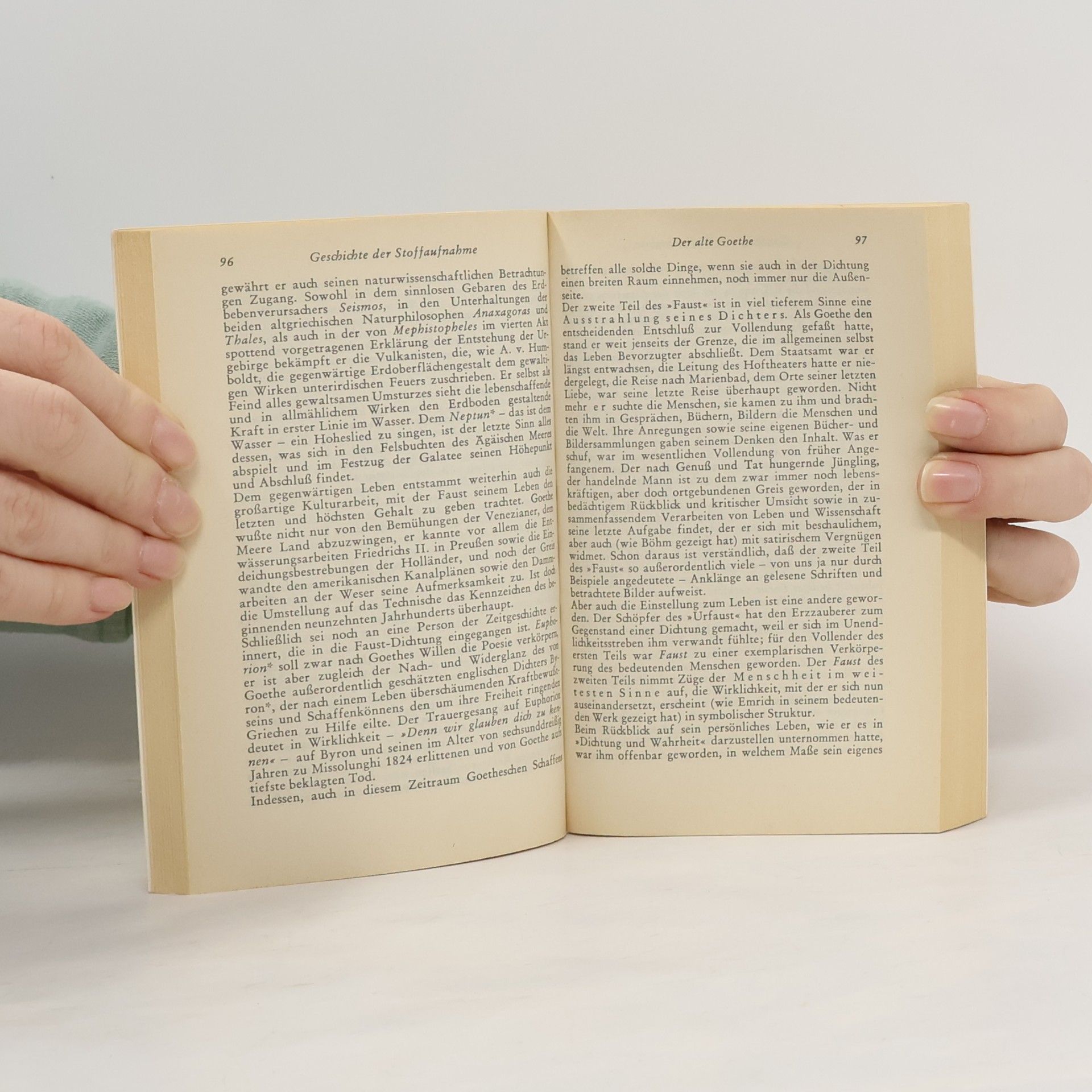 Theodor Friedrich Kommentar zu Goethes Faust