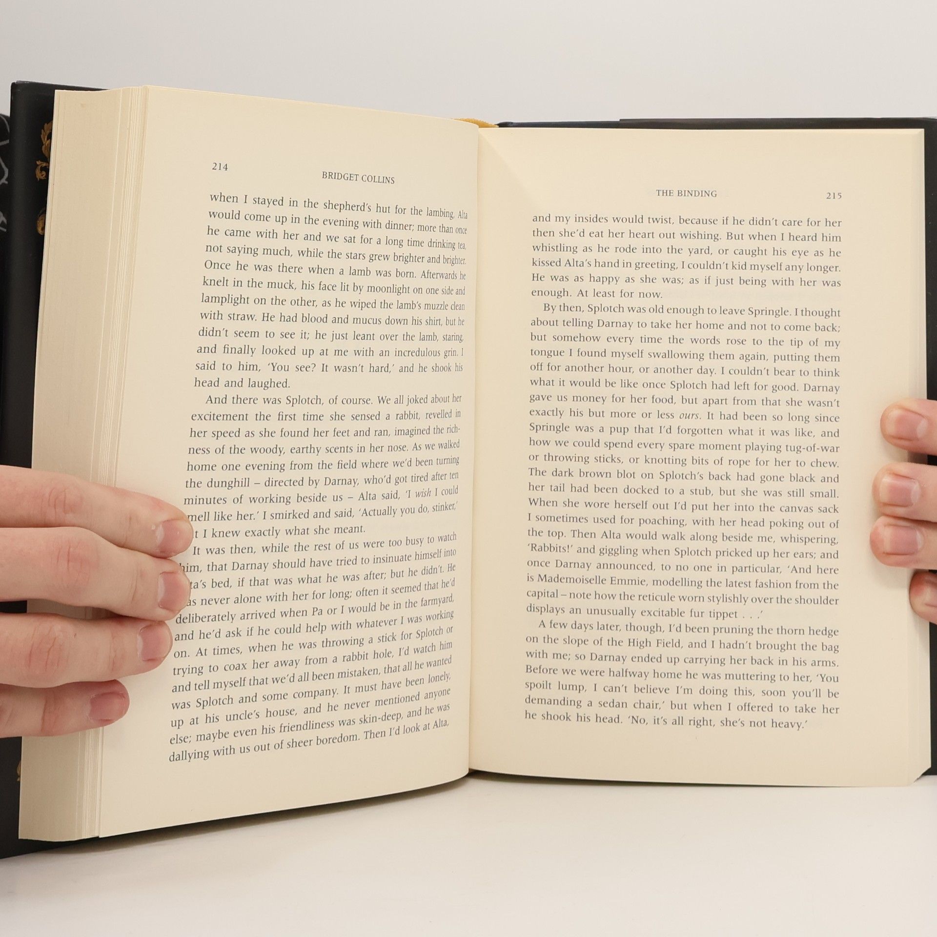 Bridget Collins The Binding