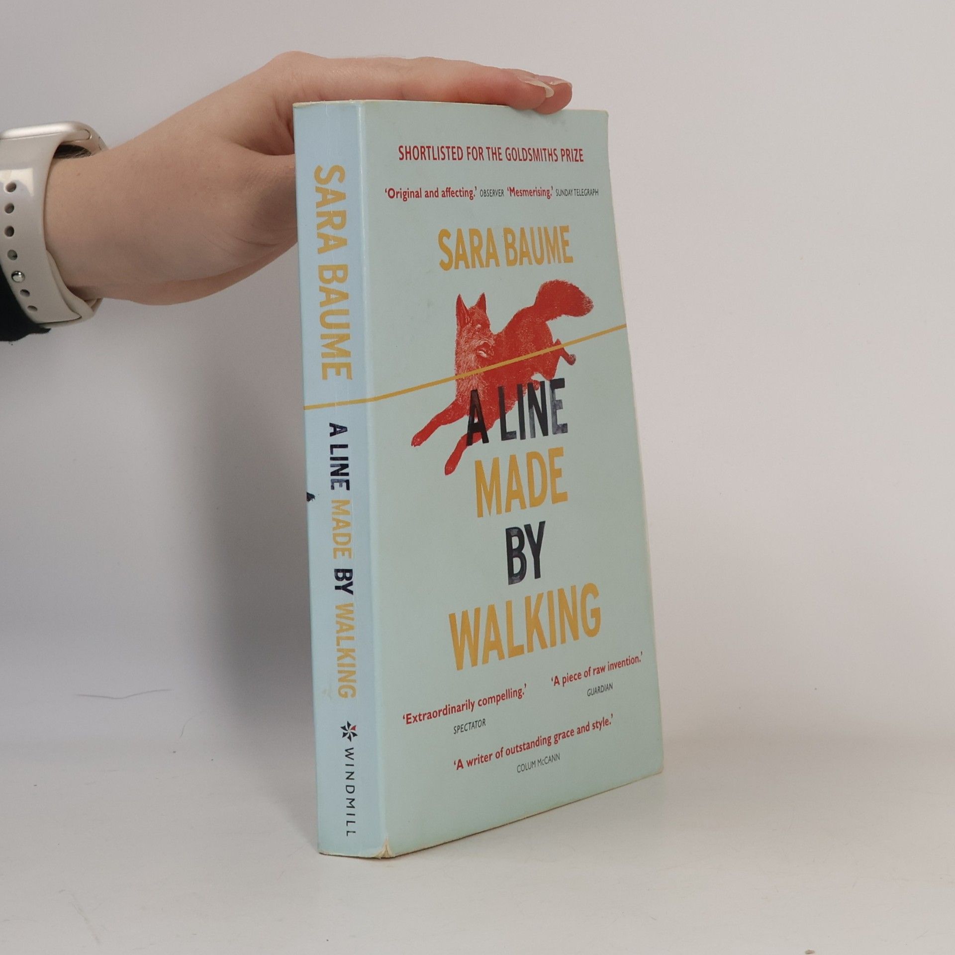 A line made by walking