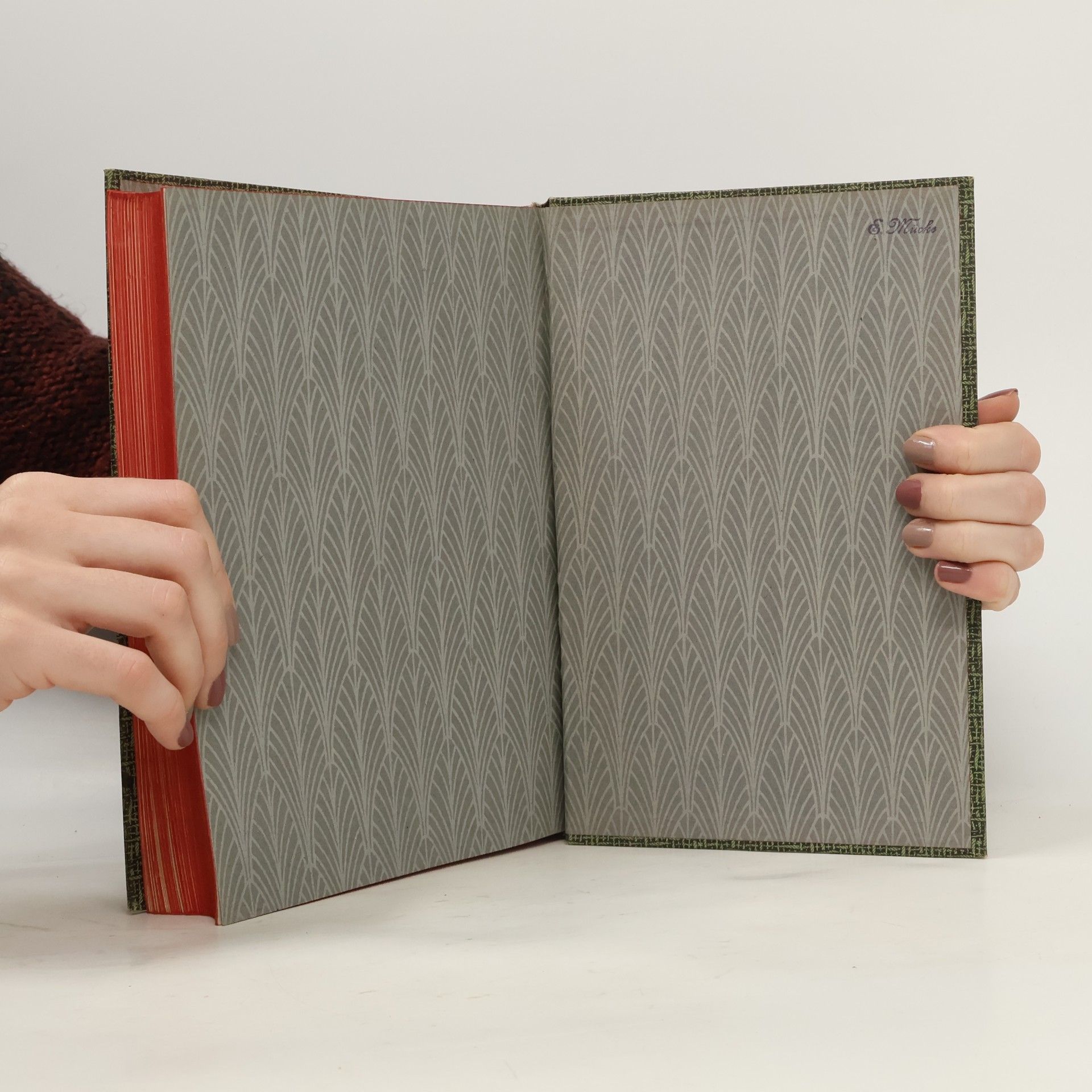 F. Schmidt Kompendium der Photographie