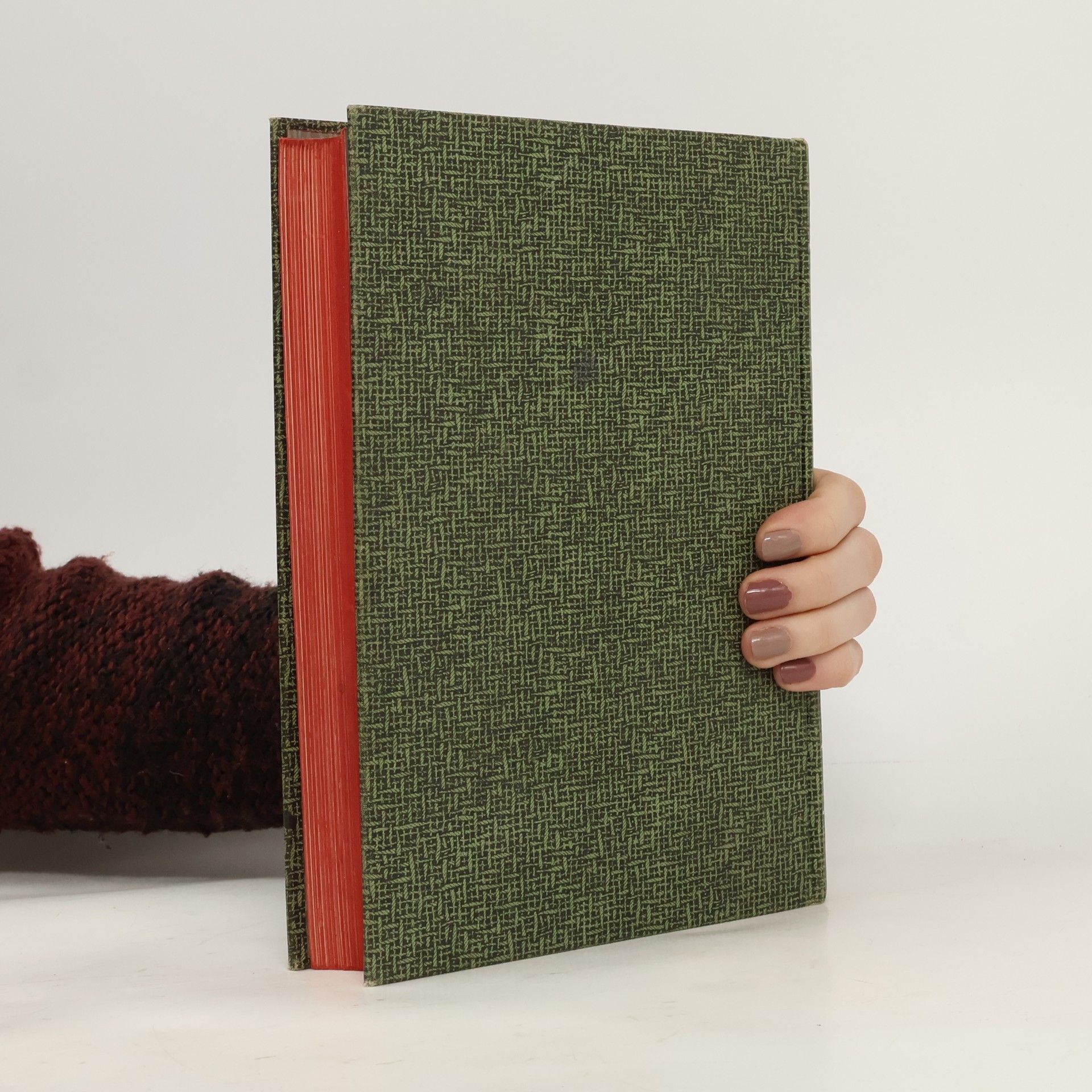 F. Schmidt Kompendium der Photographie