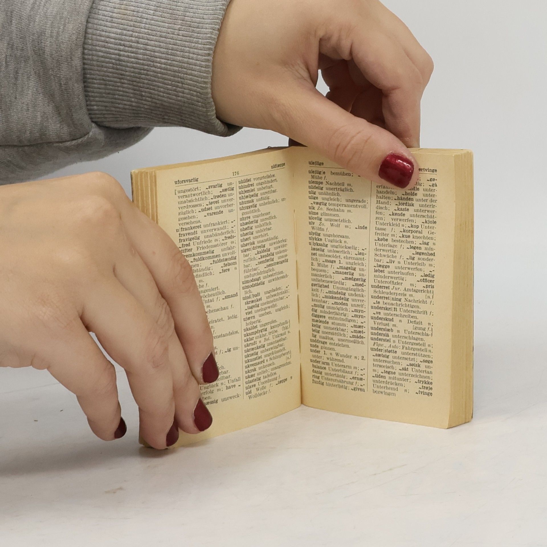 Kolektiv autorů Langenscheidts Universal-Wörterbuch. Dänisch-Deutsch. Deutsch-Dänisch