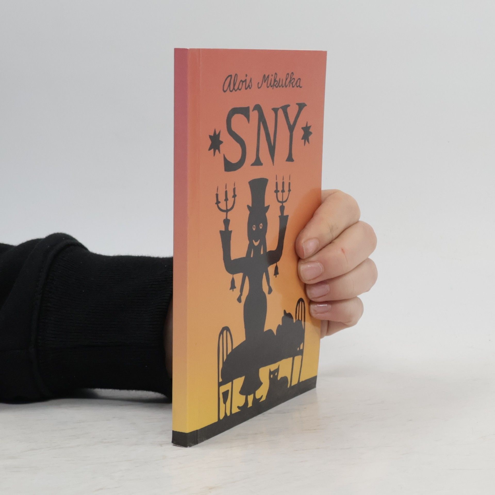 Sny
