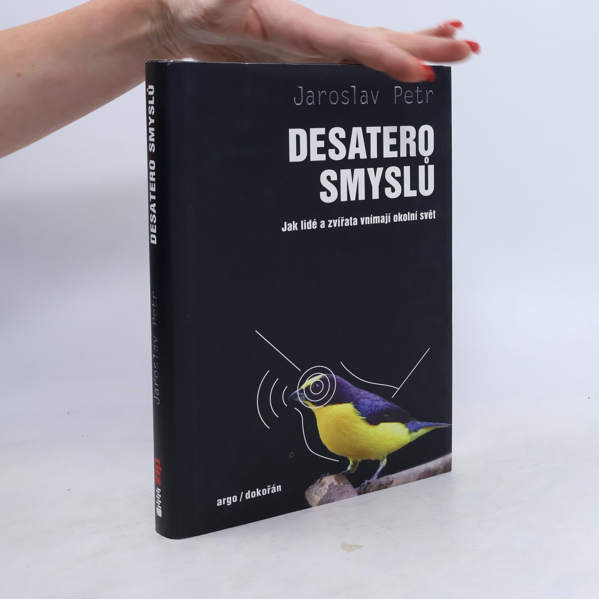 Desatero smyslů