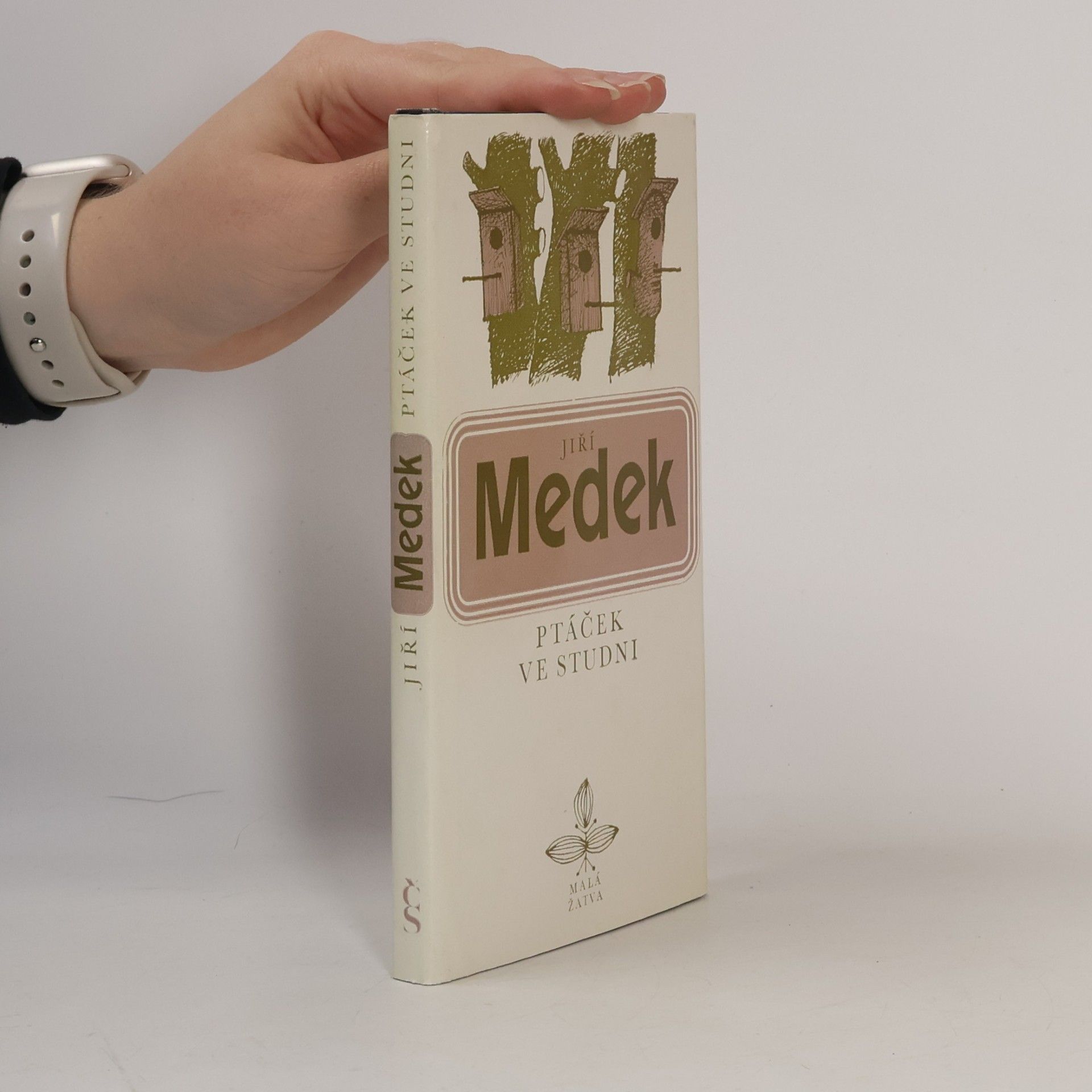 Ptáček ve studni