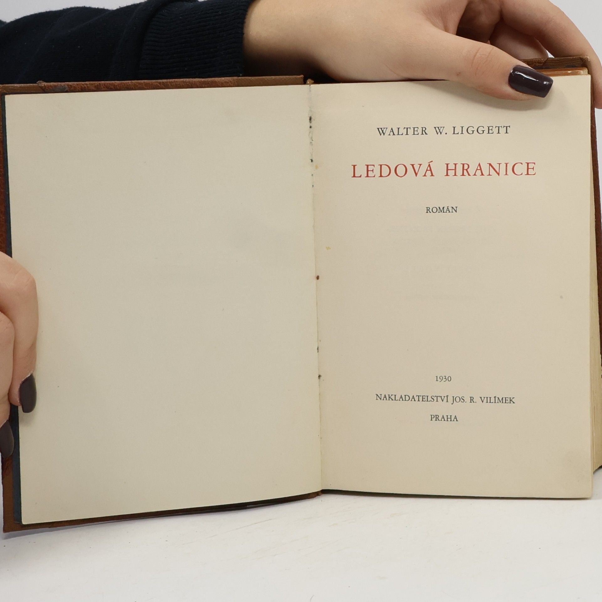 Walter W. Liggett Ledová hranice